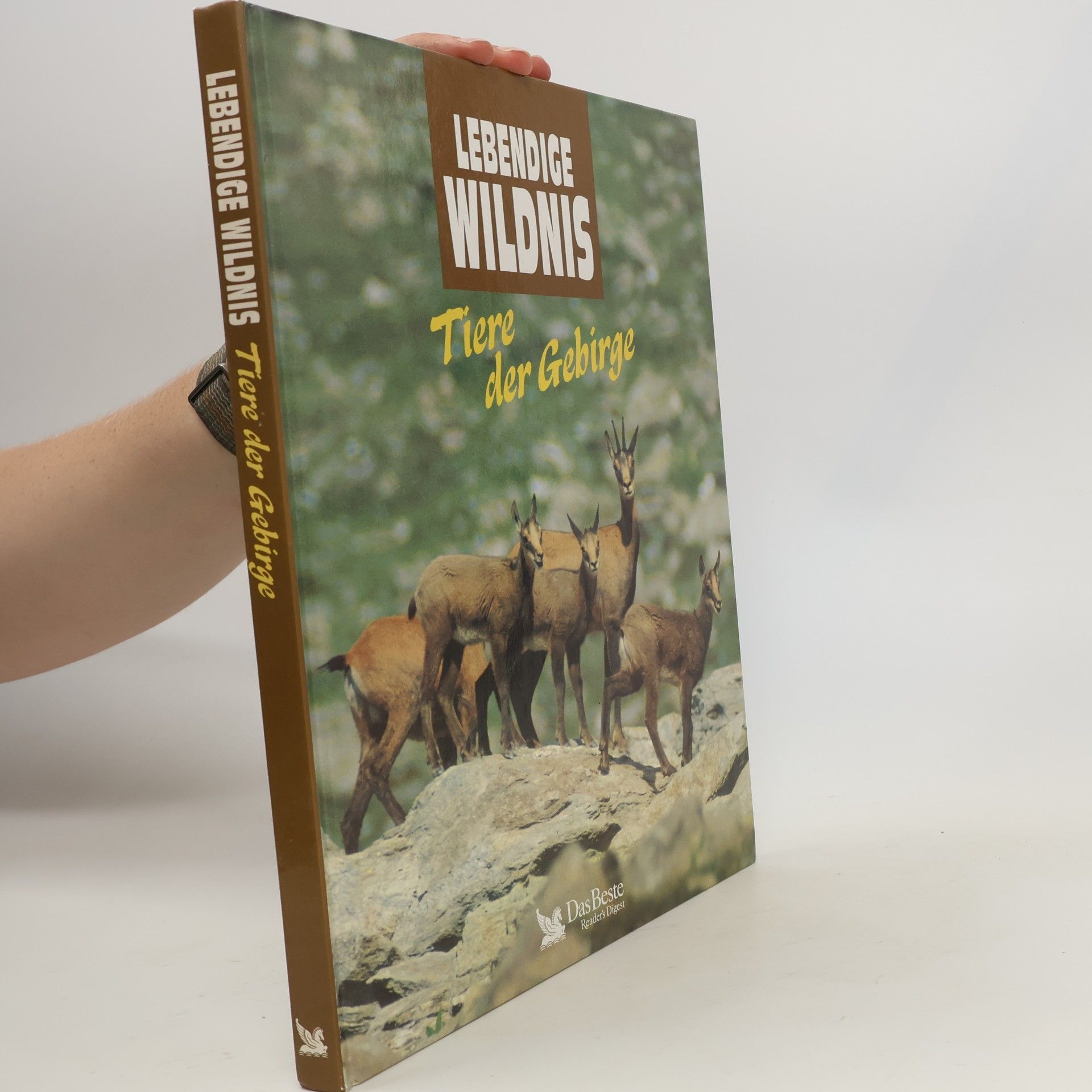 Autorenkollektiv Lebendige Wildnis : Tiere der Gebirge