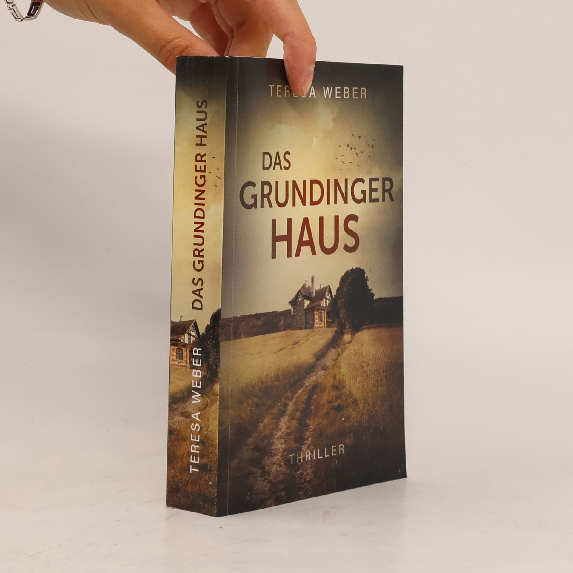 Teresa Weber Das grundiger Haus
