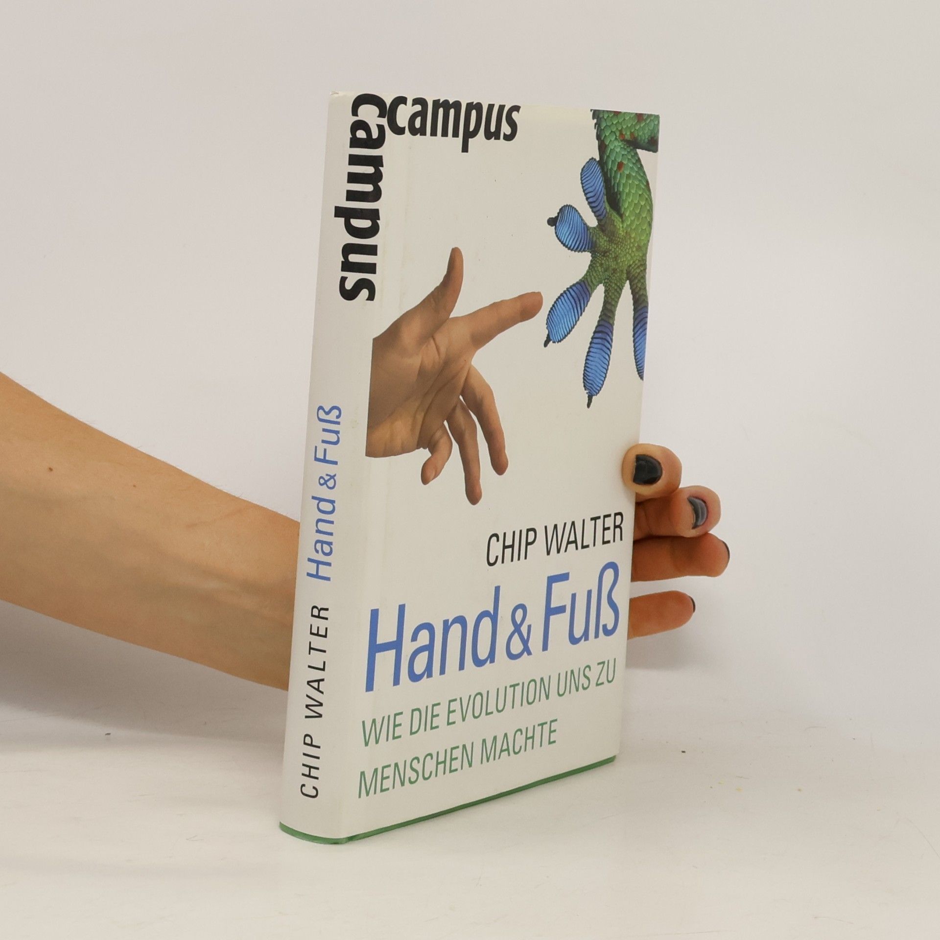 Chip Walter Hand & Fuß