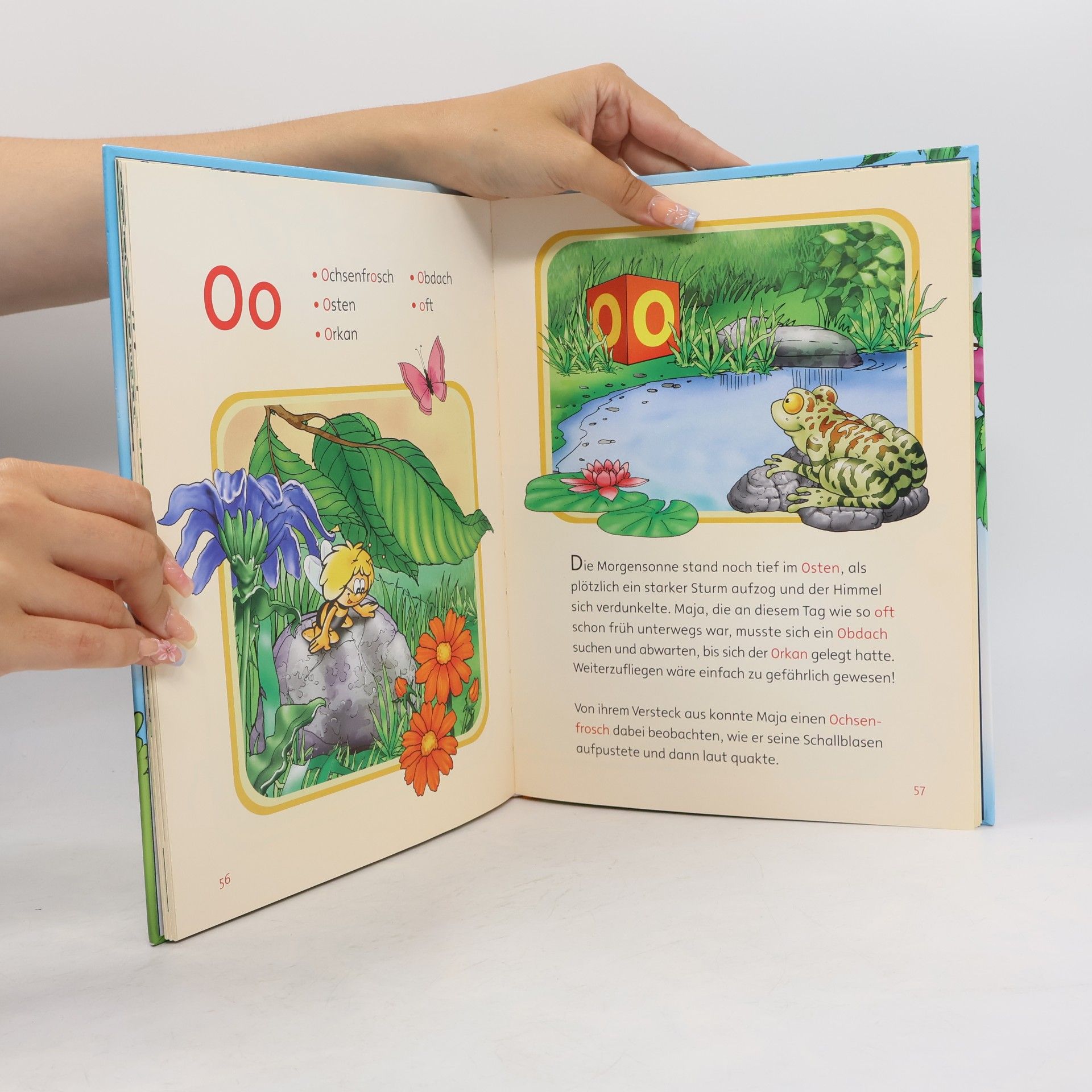 Autorenkollektiv Die Biene Maja lernt Lesen