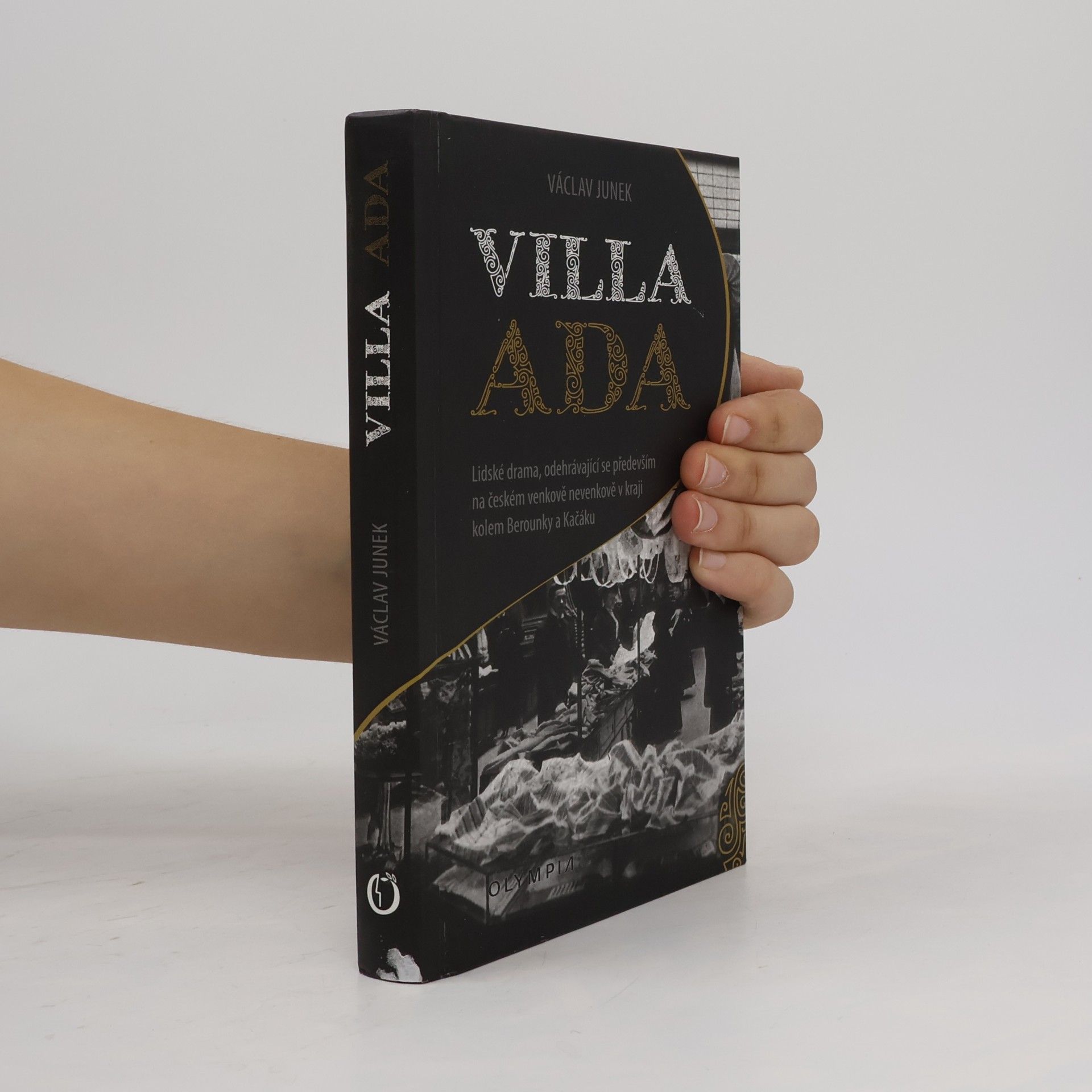 Villa Ada