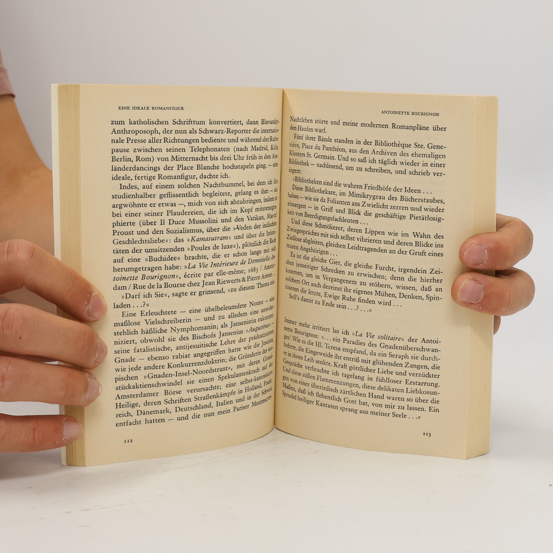 Walter Mehring Die verlorene Bibliothek