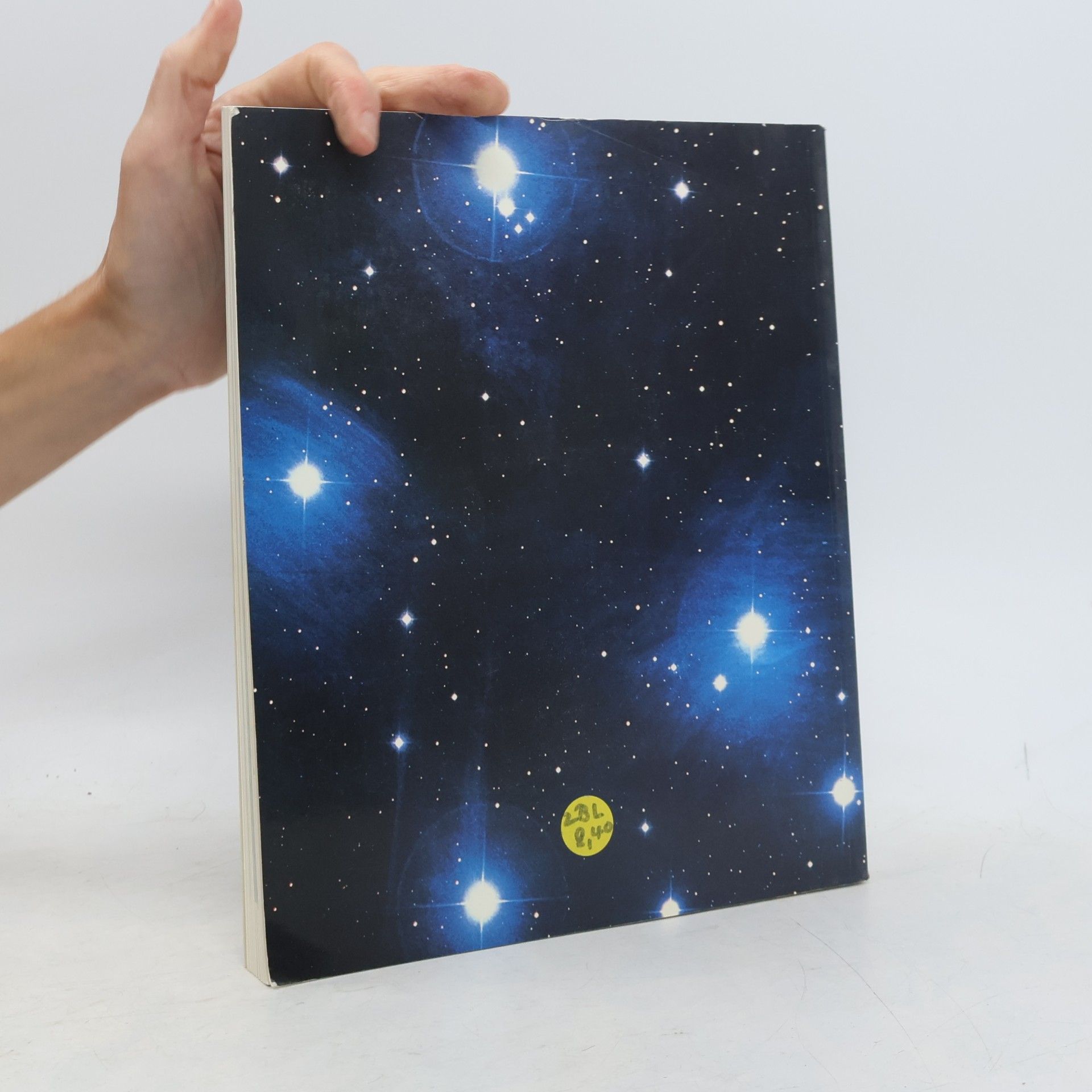 Wilfried Seipel Mensch und Kosmos 2