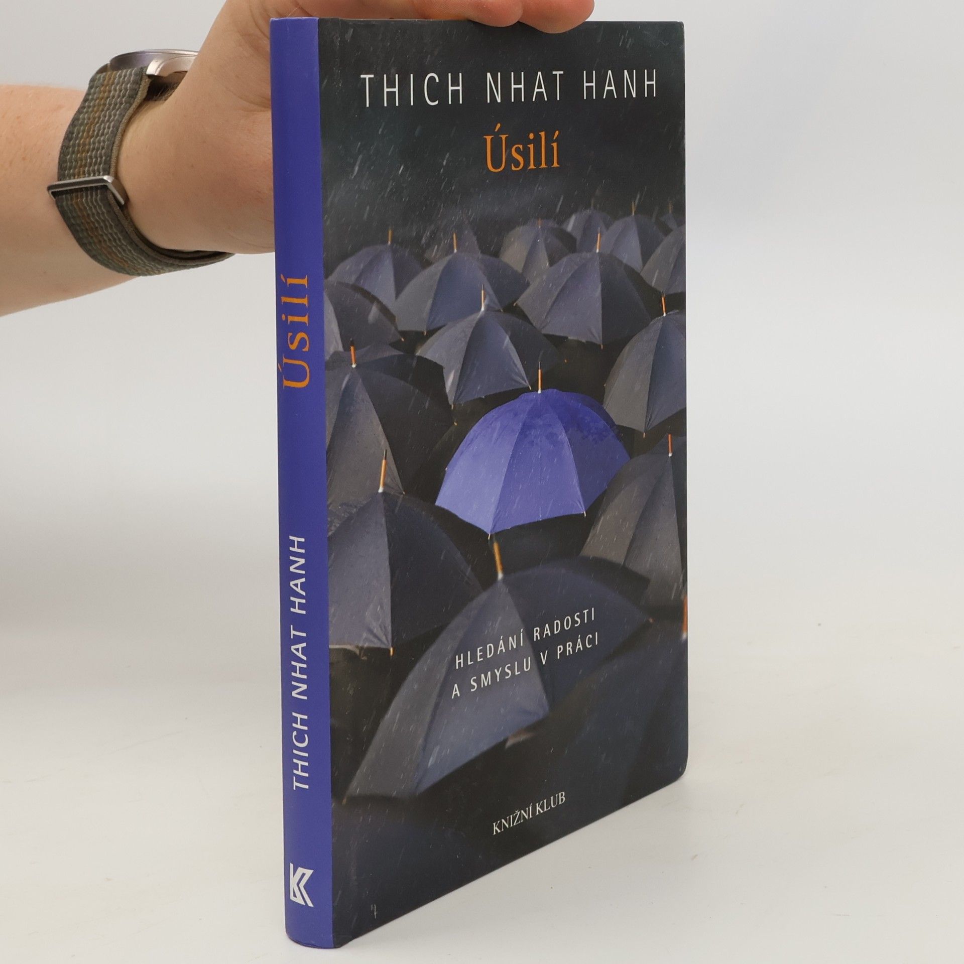 Hạnh Nhat Úsilí. Hledání radosti a smyslu v práci