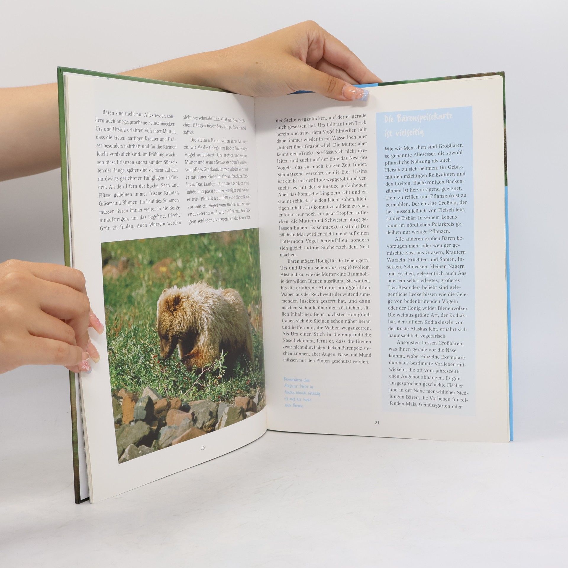 Ursula Dolder Urs der kleine Bär