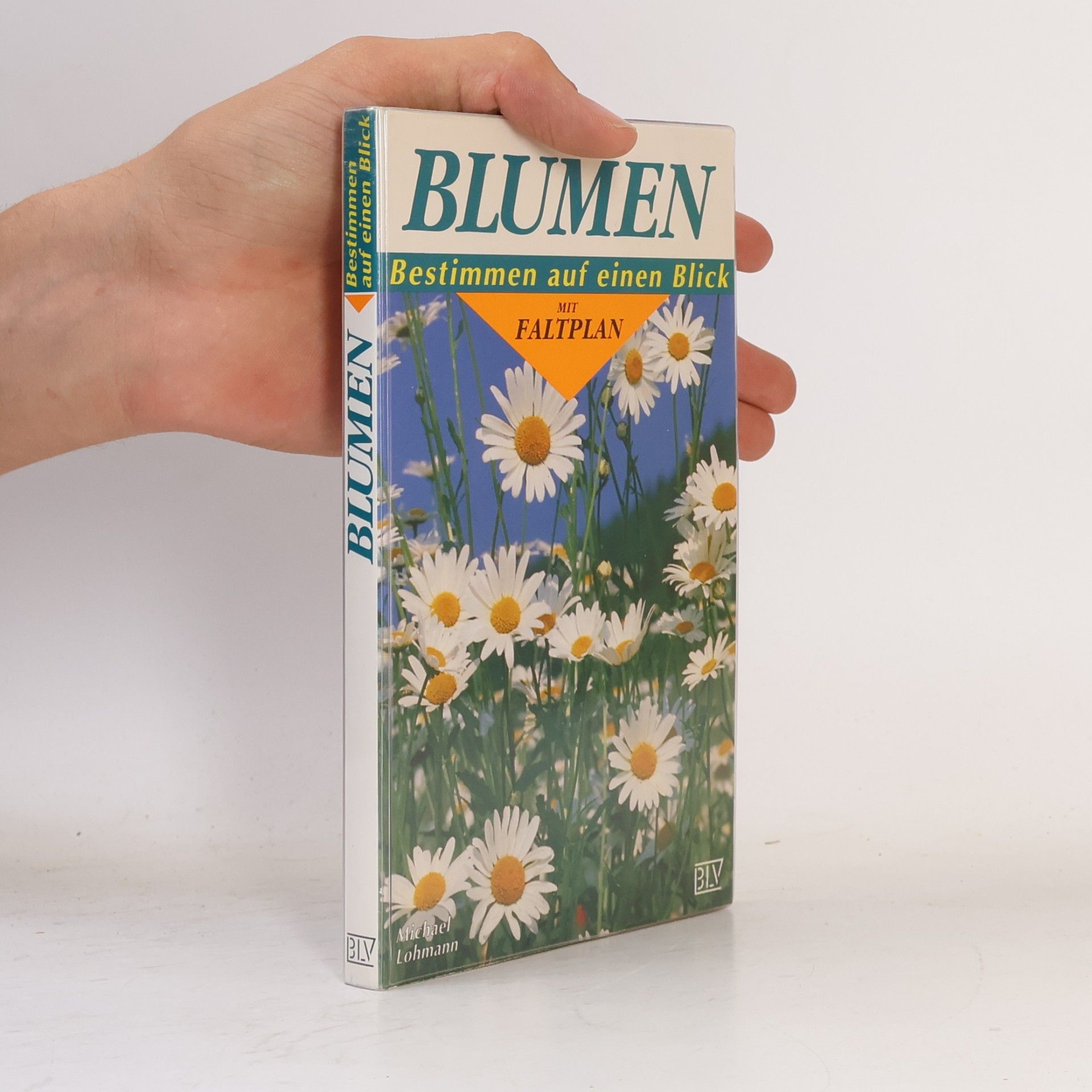 Michael Lohmann Blumen