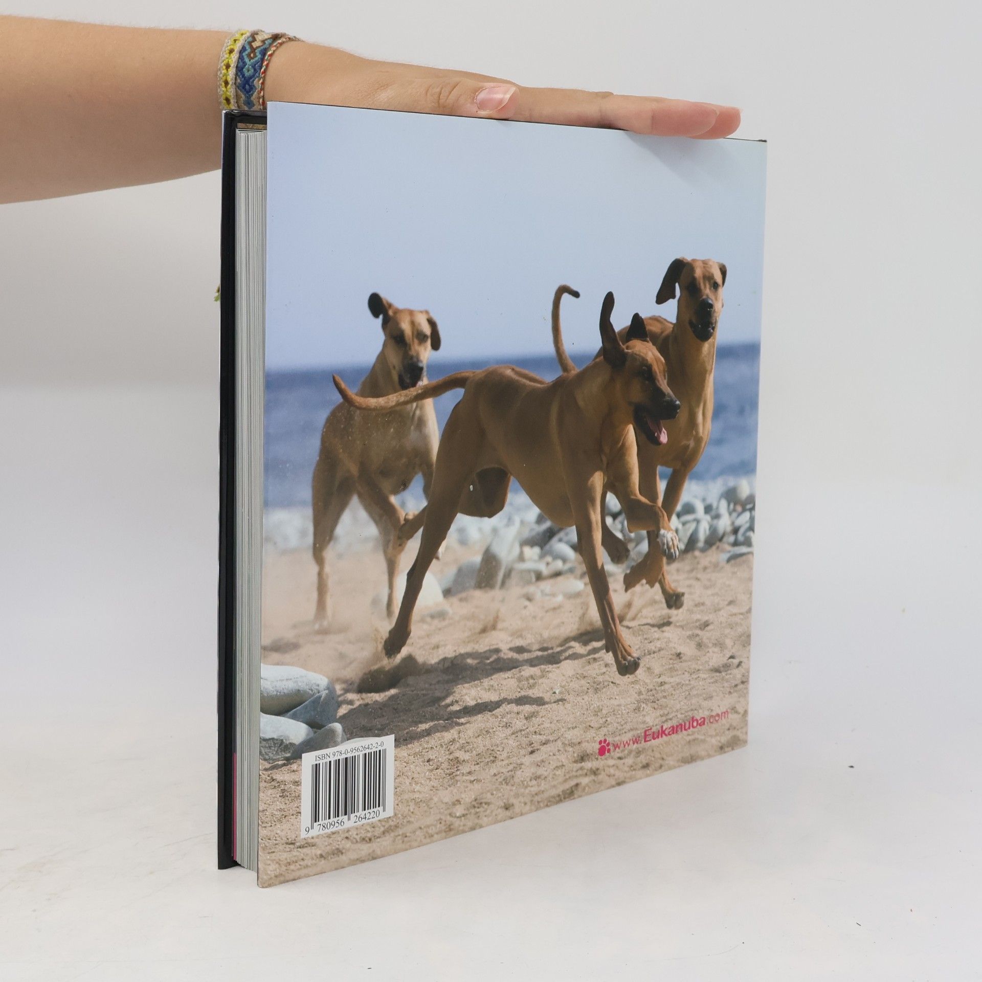 Various authors Dogs H-Z : Hunde, chiens, cani, perros, honden