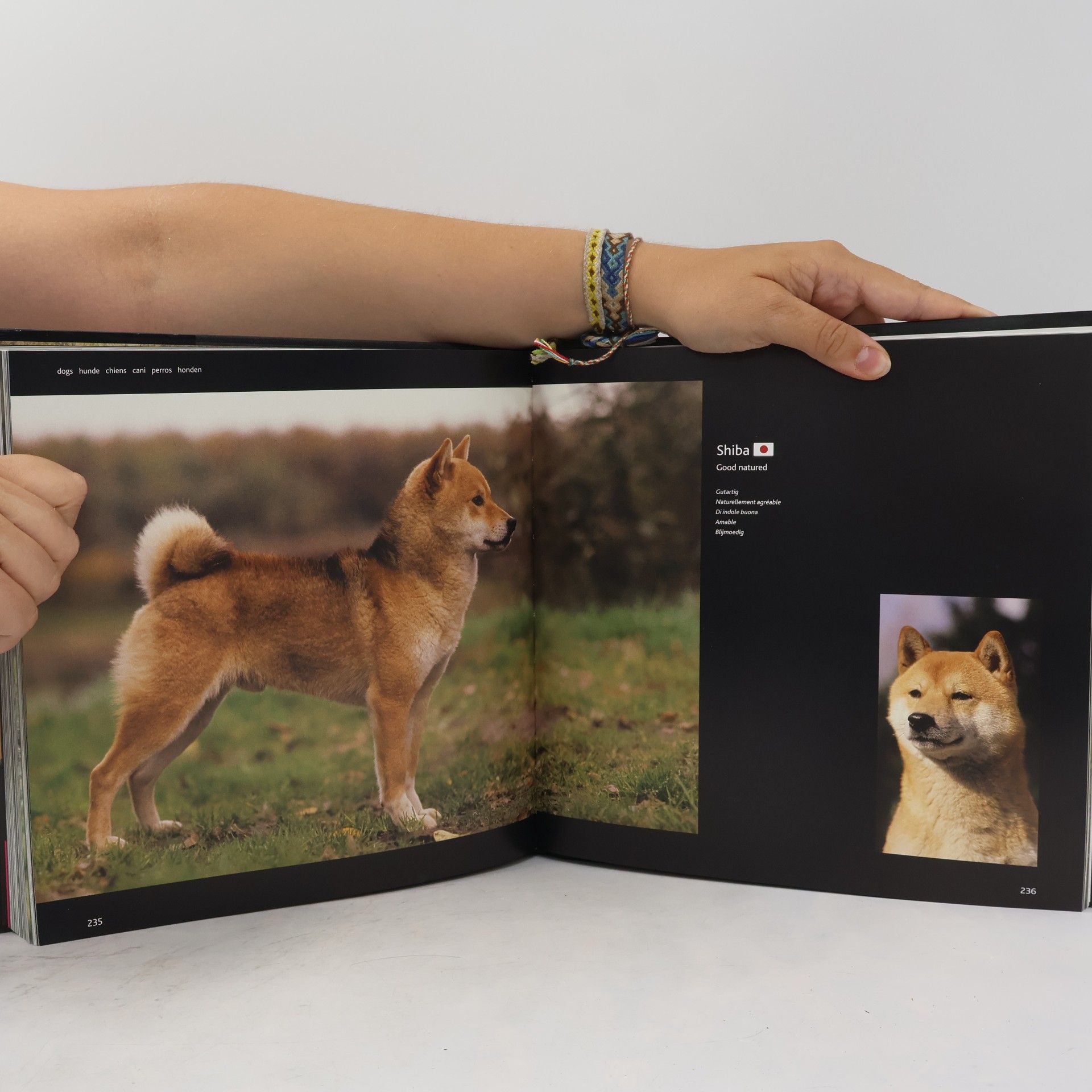 Various authors Dogs H-Z : Hunde, chiens, cani, perros, honden