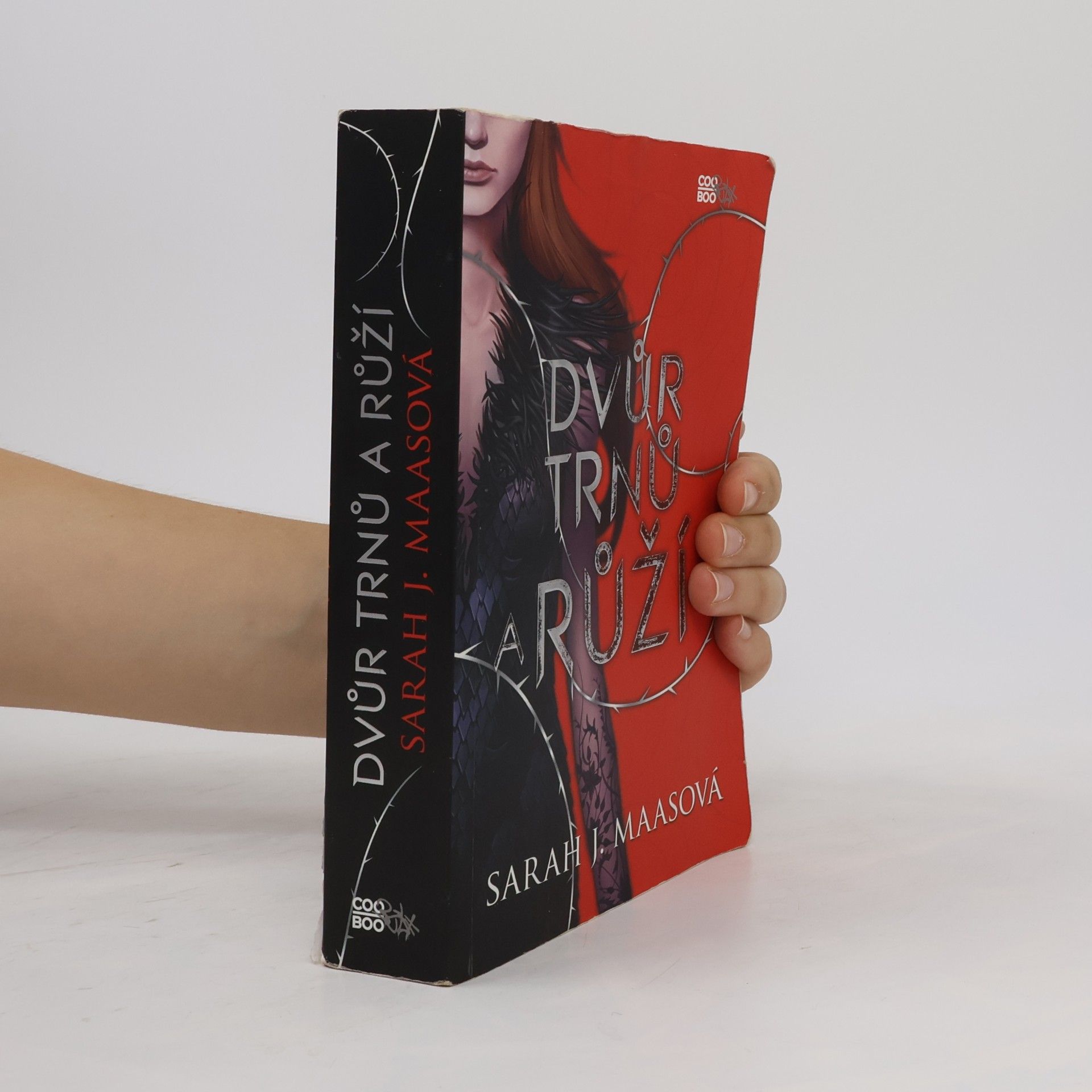 Sarah J. Maas Dvůr trnů a růží