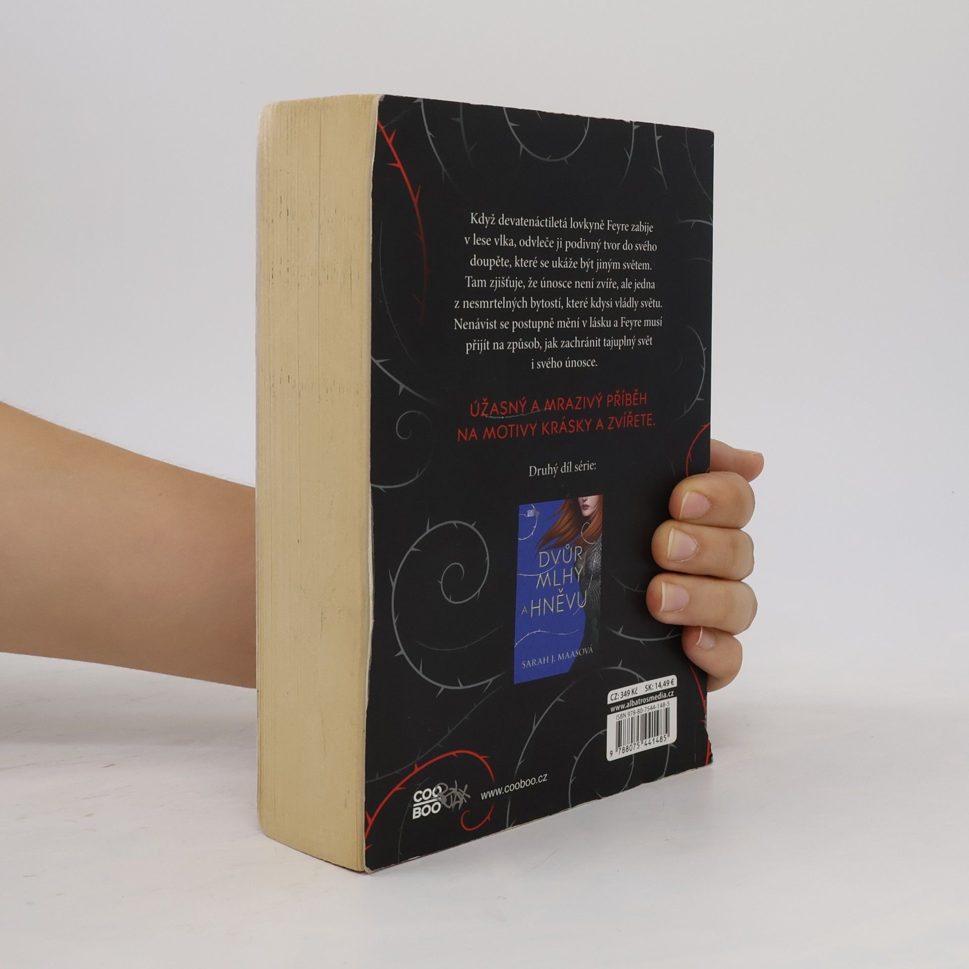 Sarah J. Maas Dvůr trnů a růží
