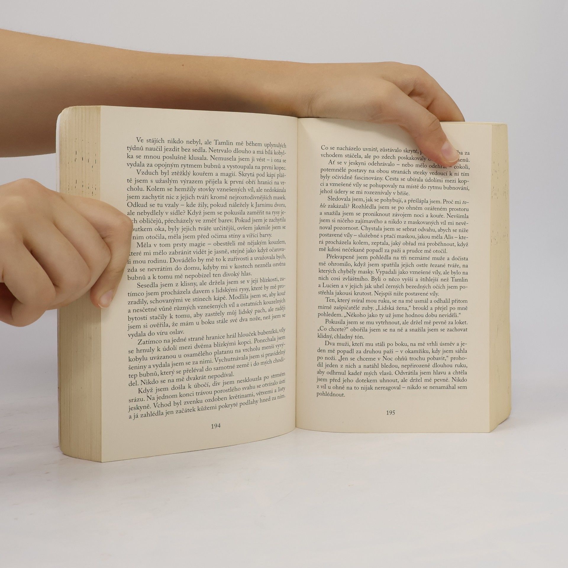 Sarah J. Maas Dvůr trnů a růží