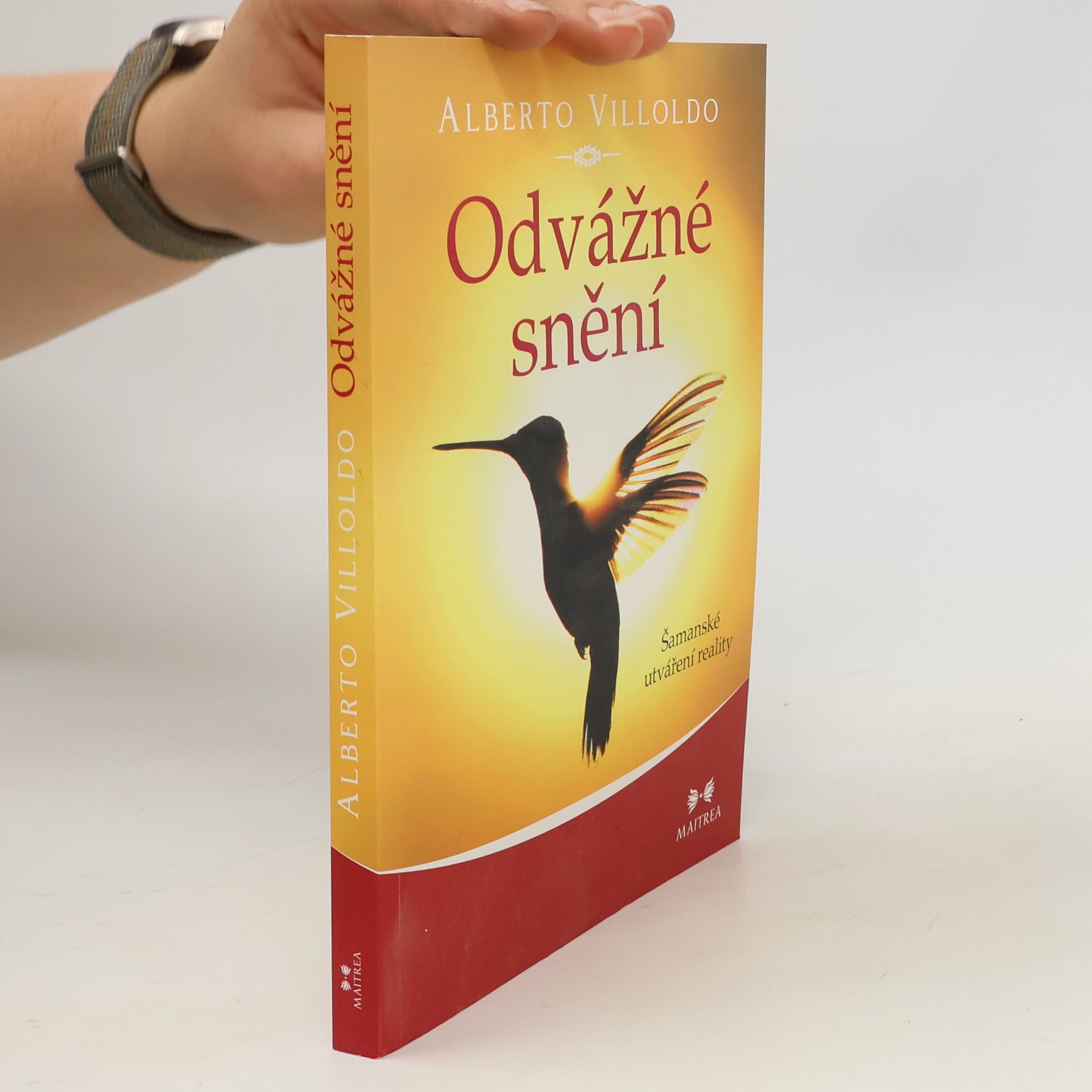 Odvážné snění : šamanské utváření reality