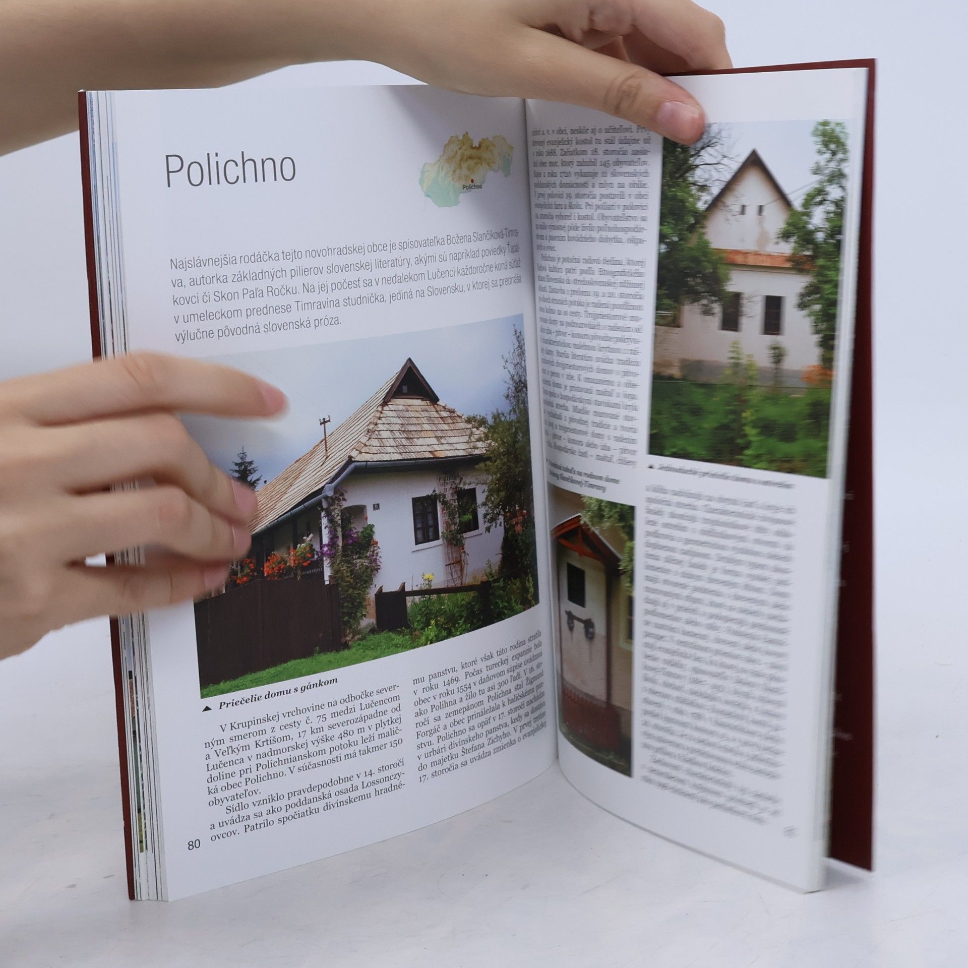 Viera Dvořáková Ľudová architektúra