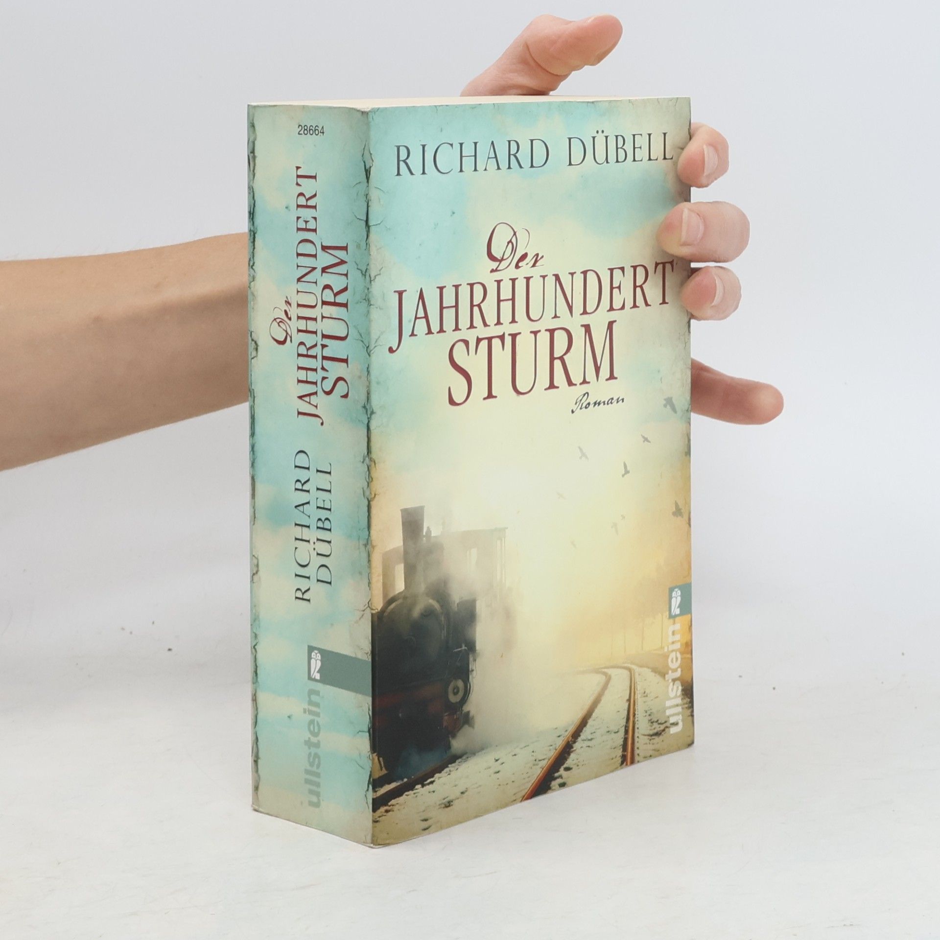 Richard Dübell Den Jahrhundertsturm