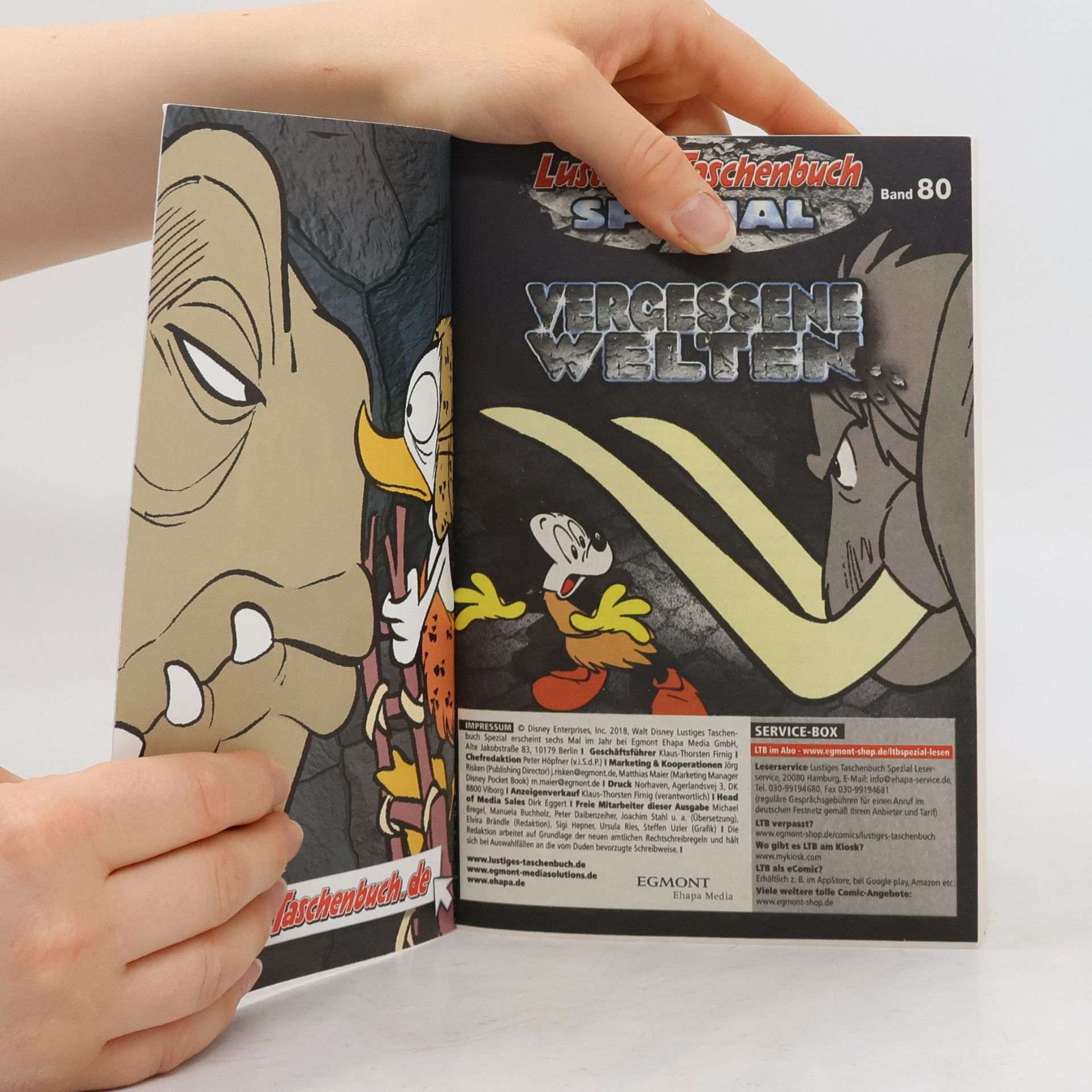 Walt Disney Lustiges Taschenbuch Spezial 80