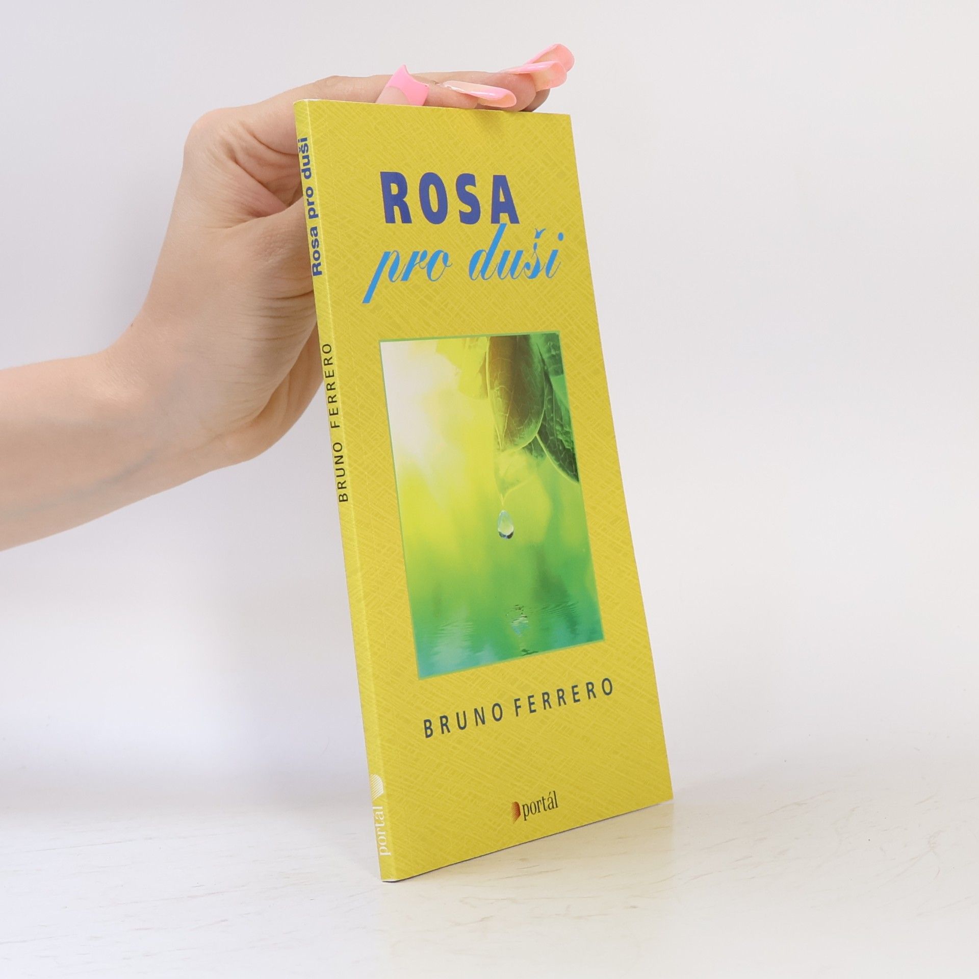 Bruno Ferrero Rosa pro duši