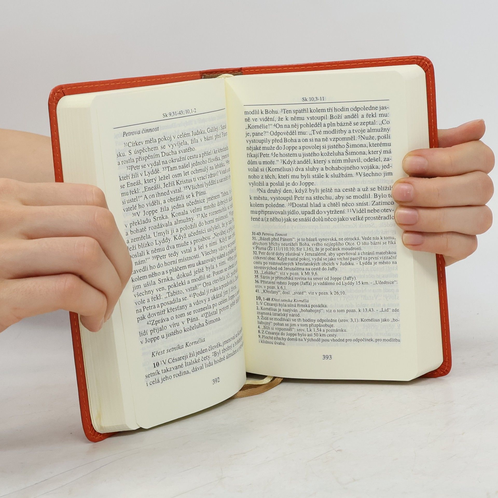 Autores varios Nový zákon : text užívaný v českých liturgických knihách přeložený z řečtiny se stálým zřetelem k Nové Vulgát