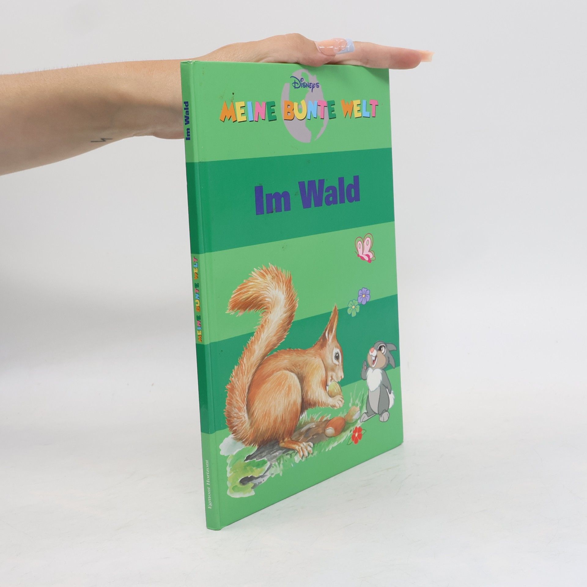 Kolektiv autorů Meine bunte welt. Im Wald