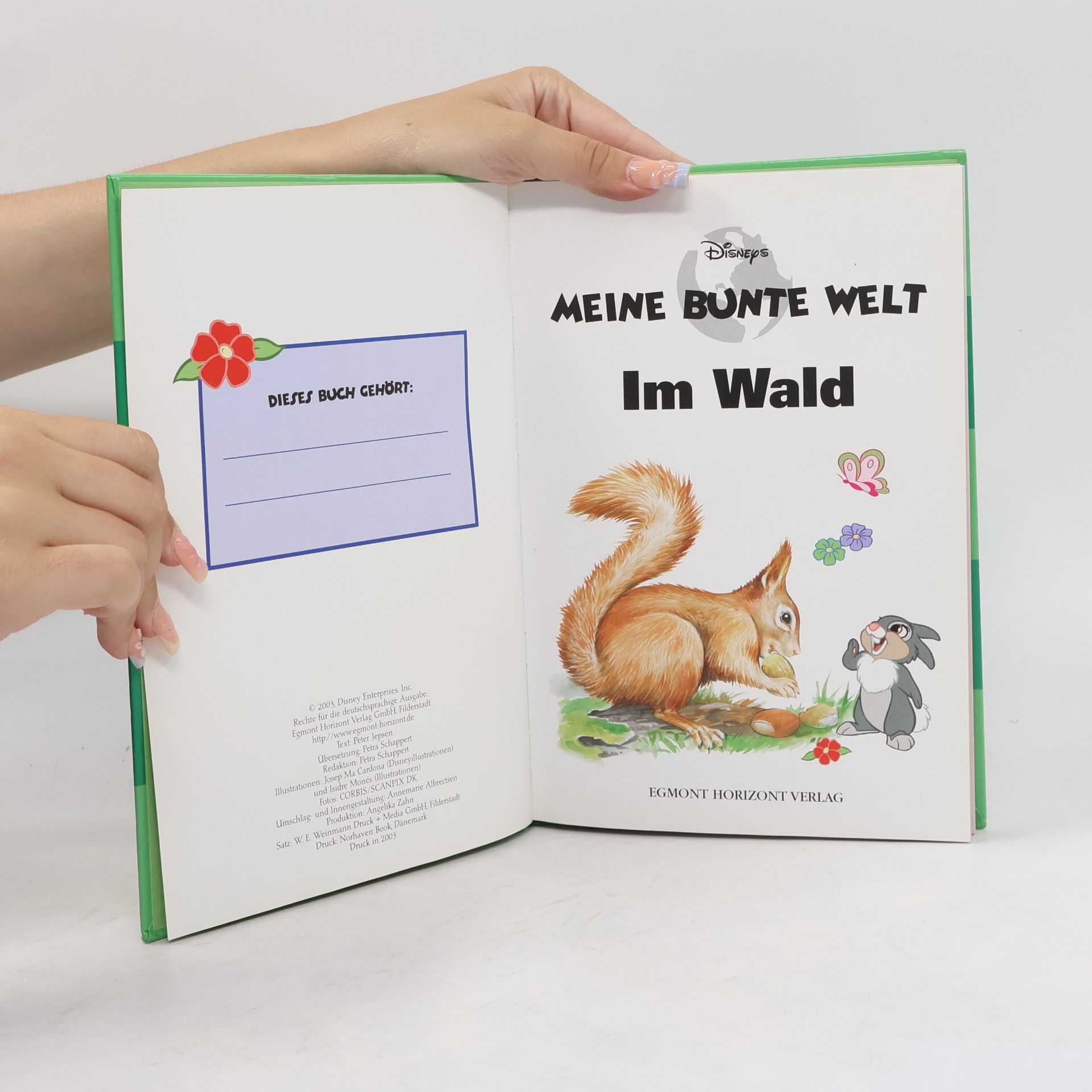 Autorenkollektiv Meine bunte welt. Im Wald
