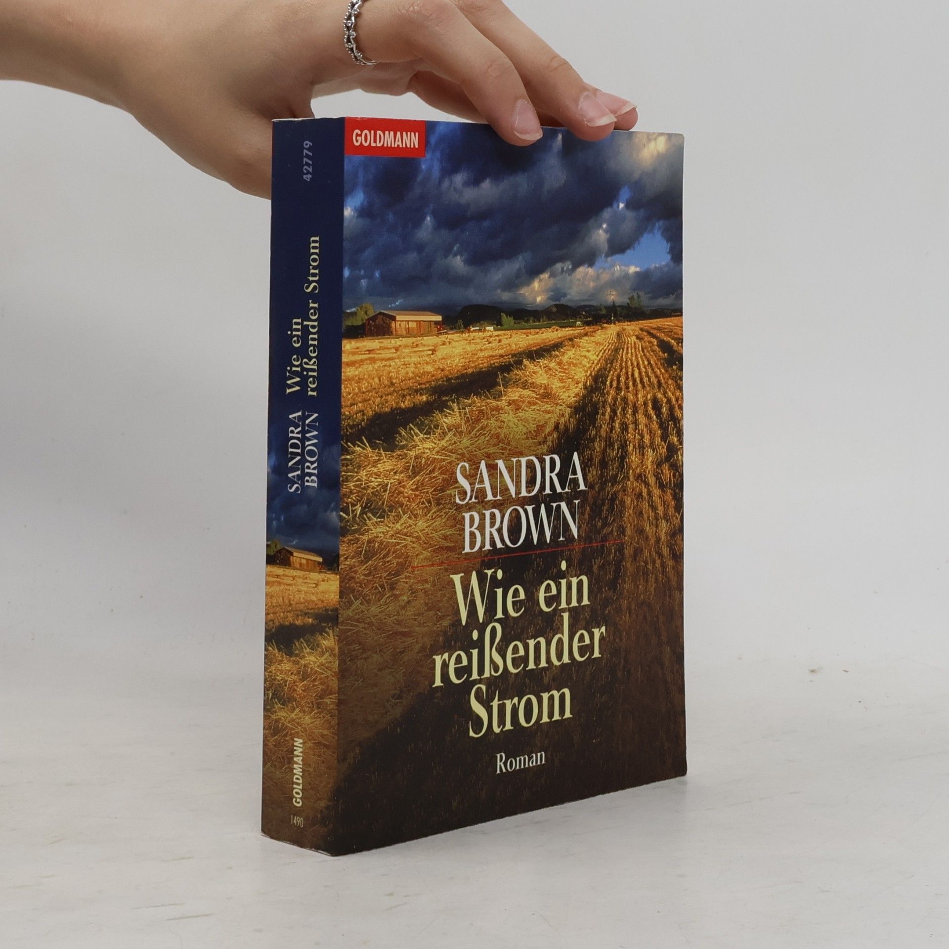 Sandra Brown Wie ein reißender Strom
