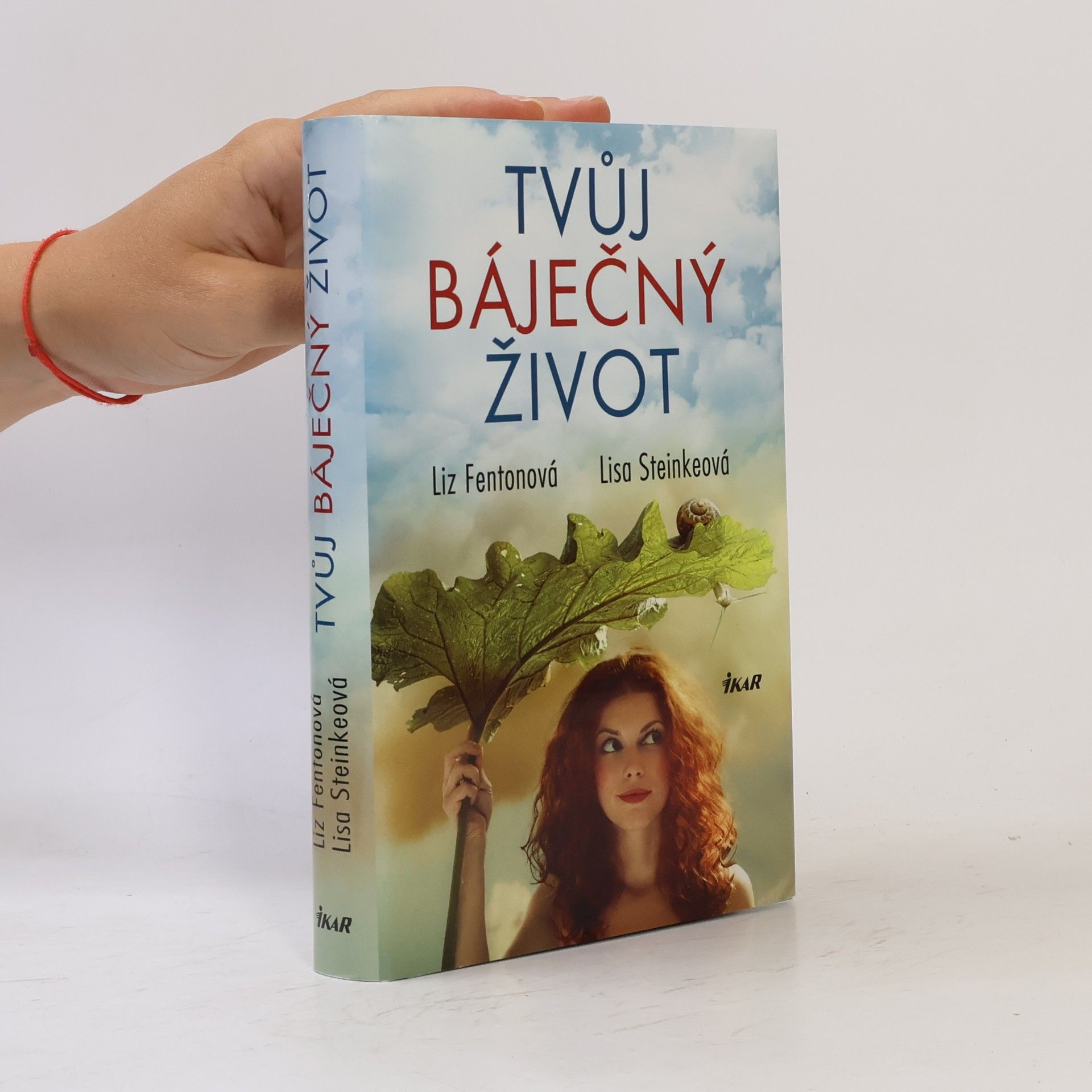 Lisa Steinke Tvůj báječný život