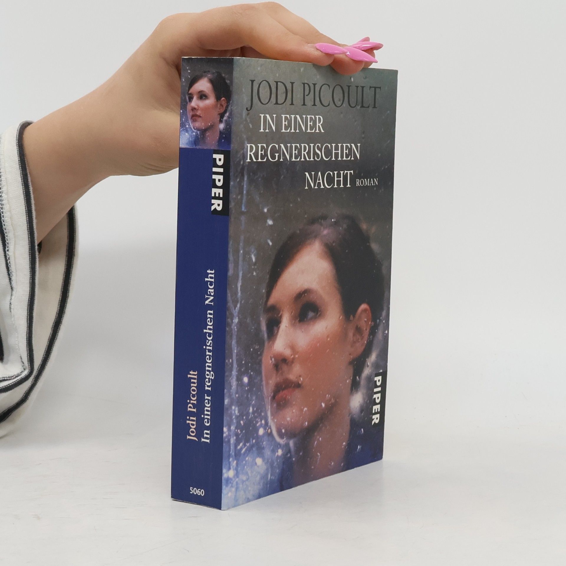 Jodi Picoult In einer regnerischen Nacht