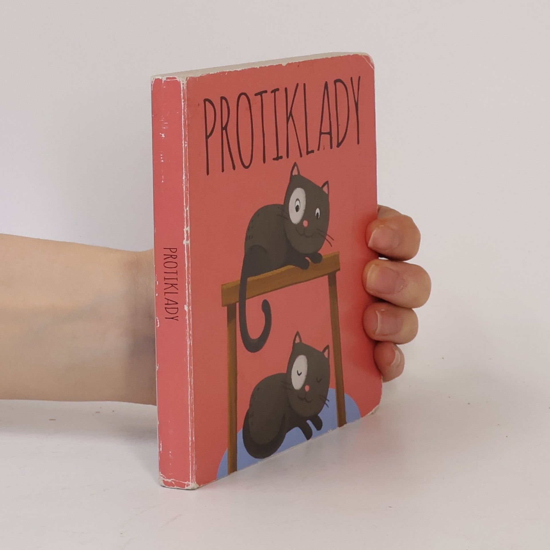 Matteo Gaule Protiklady