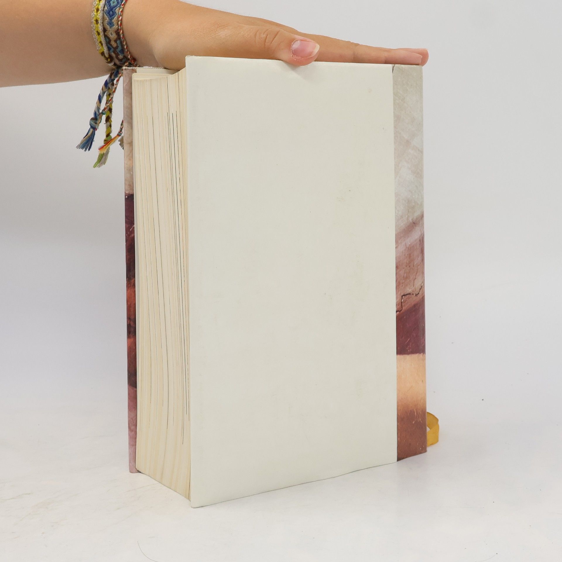 Autorenkollektiv Die Bibel. Die heilige Schrift d. Alten u. neuen Bundes. Illustr., vollständ. dtsch. Ausg.