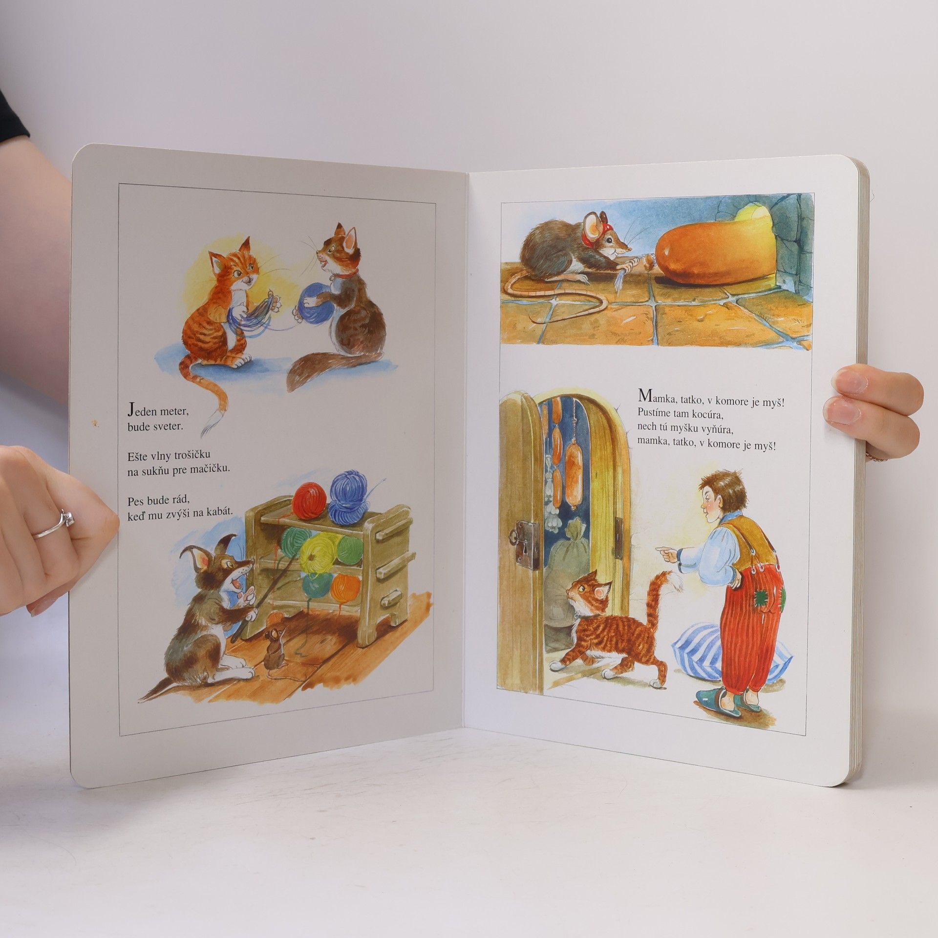 Collectif d'auteurs Riekanky pre najmenších