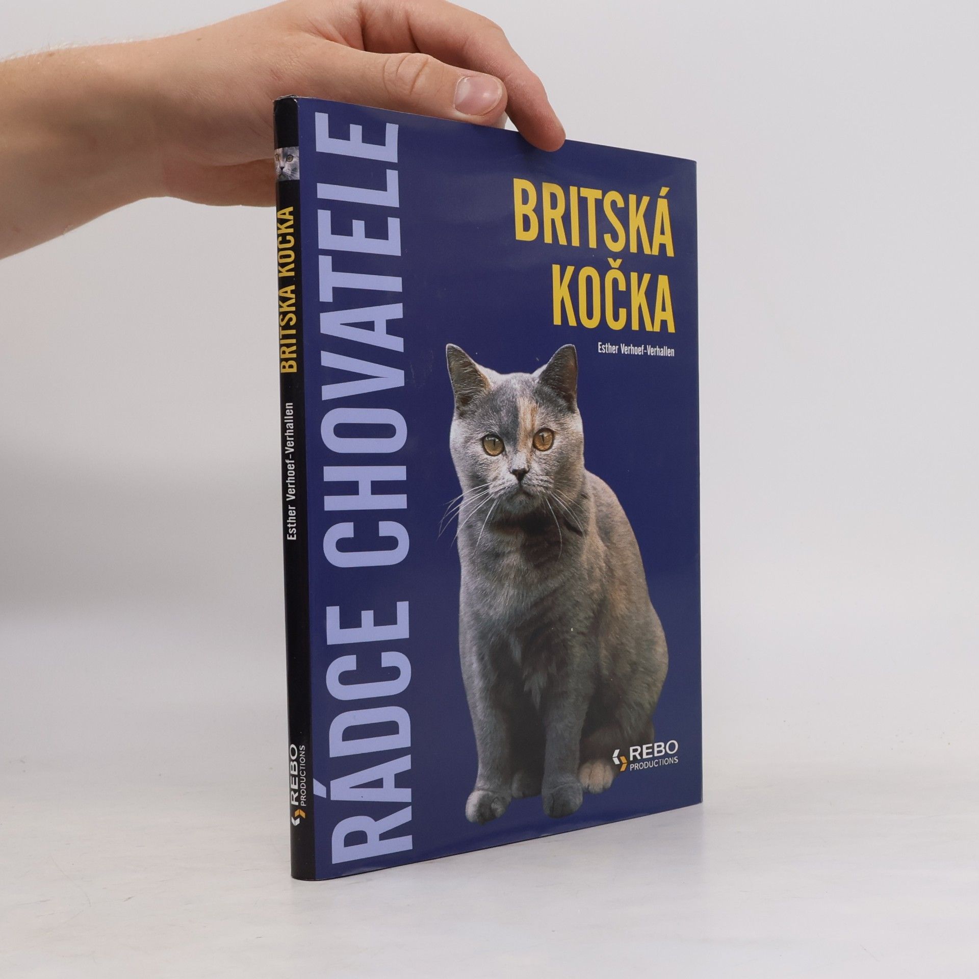 Berry Verhoef Britská kočka