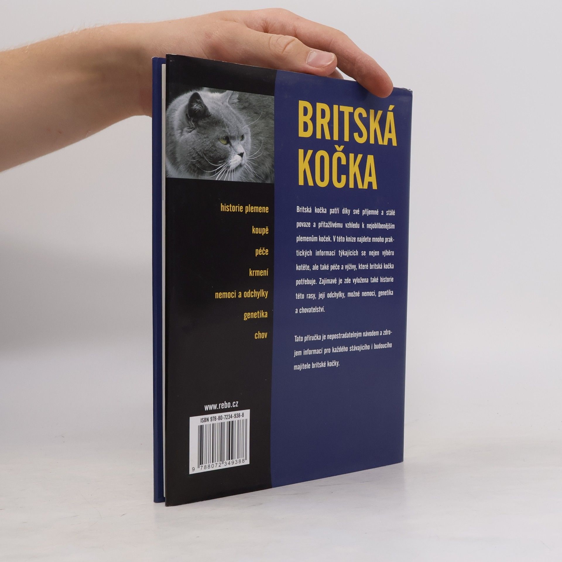 Berry Verhoef Britská kočka