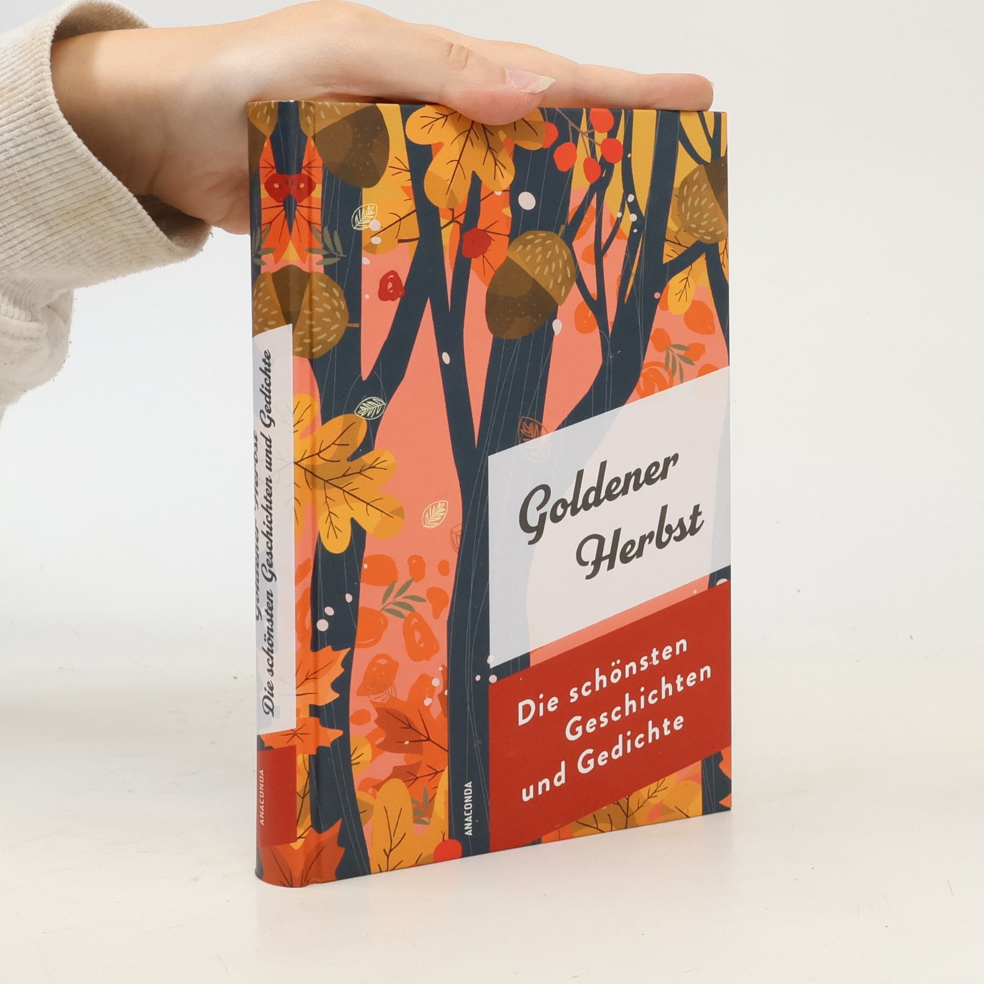 Jan Strümpel Goldener Herbst. Die schönsten Geschichten und Gedichte