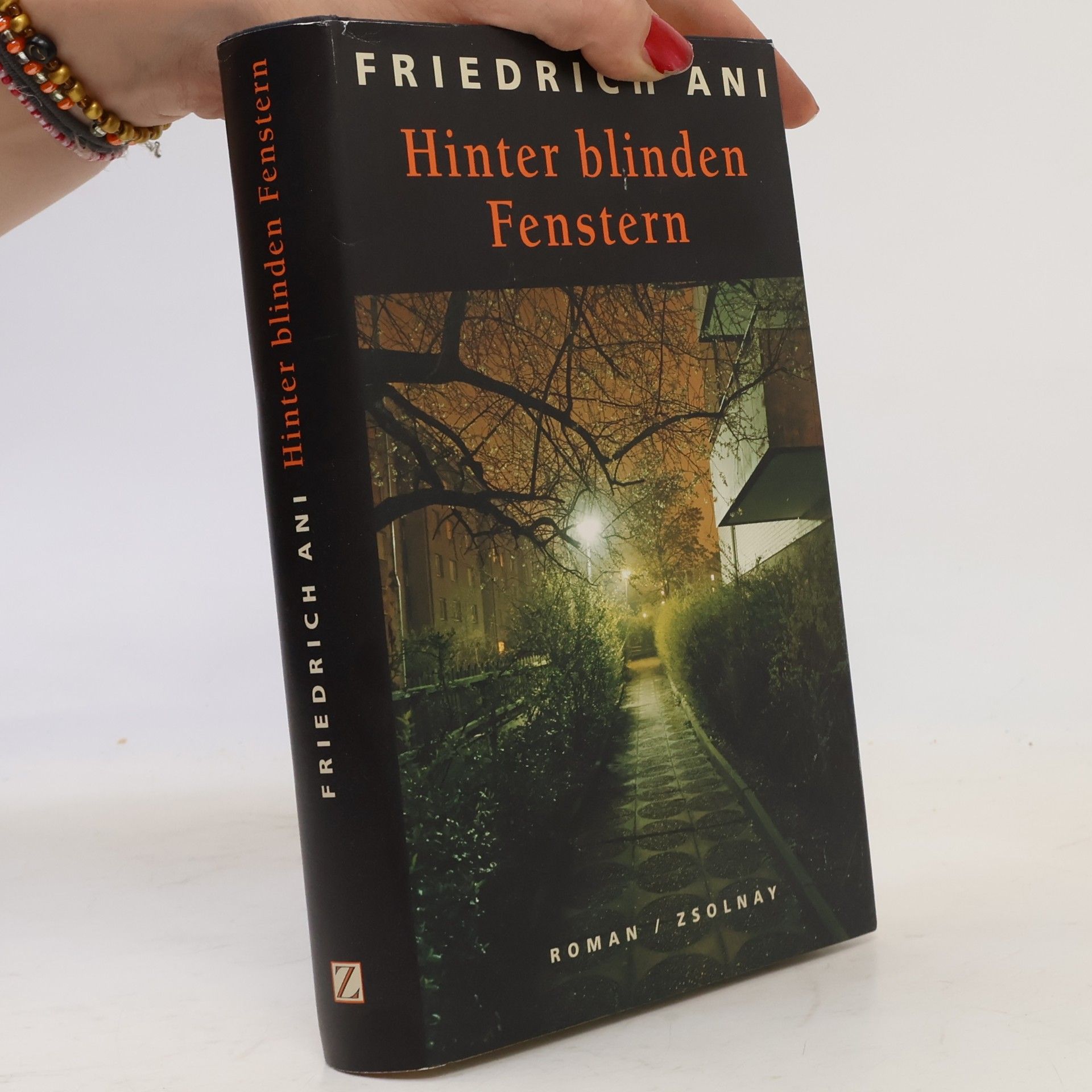 Hinter blinden Fenstern