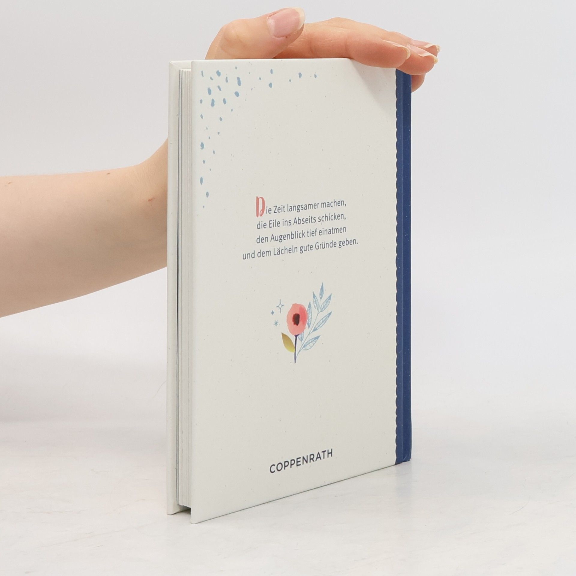 Hans Kruppa Geschenkbuch - Wenn du es eilig hast, lass dir Zeit