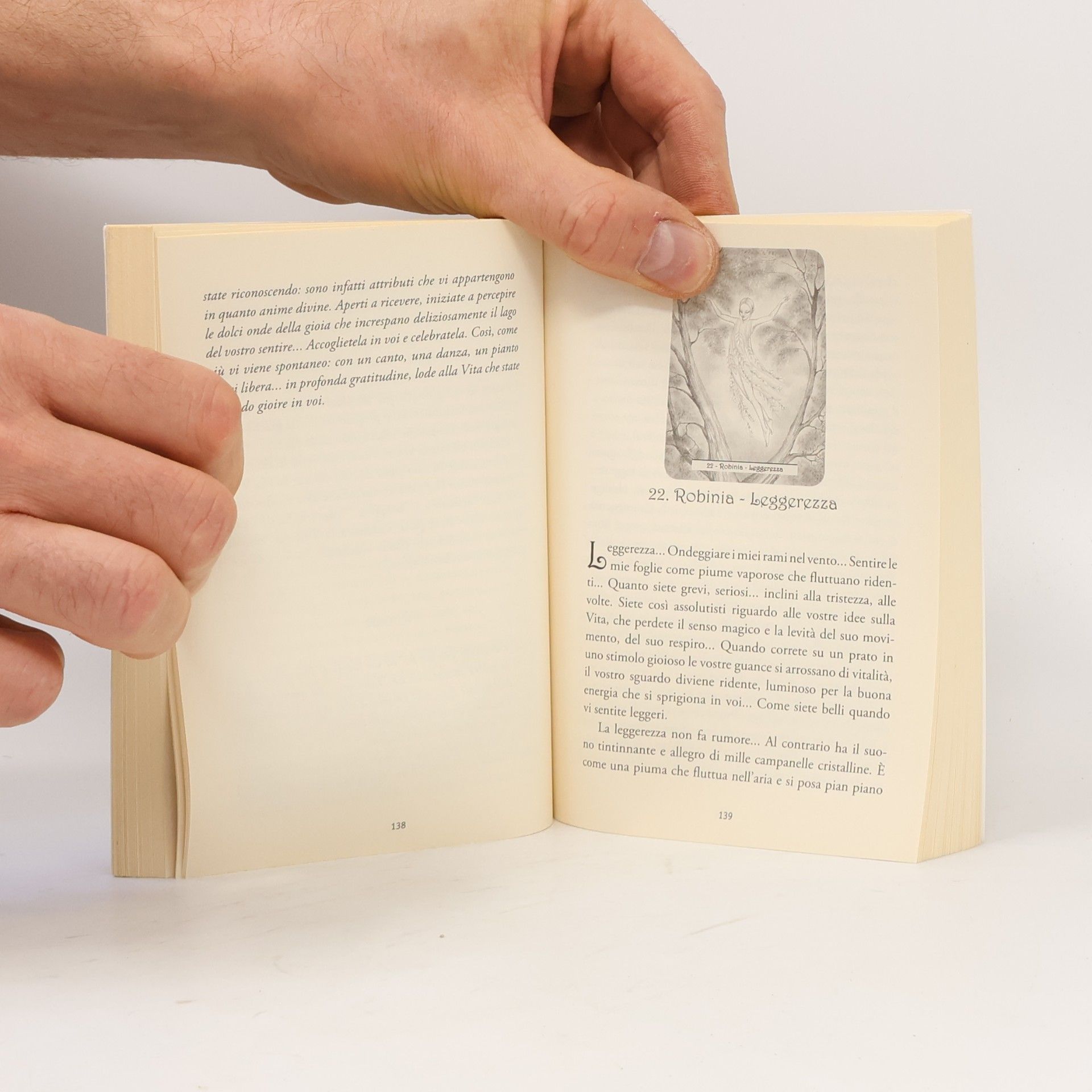 Tiziana Mattera Le carte delle driadi. Gli spiriti degli alberi guaritori. Con carte