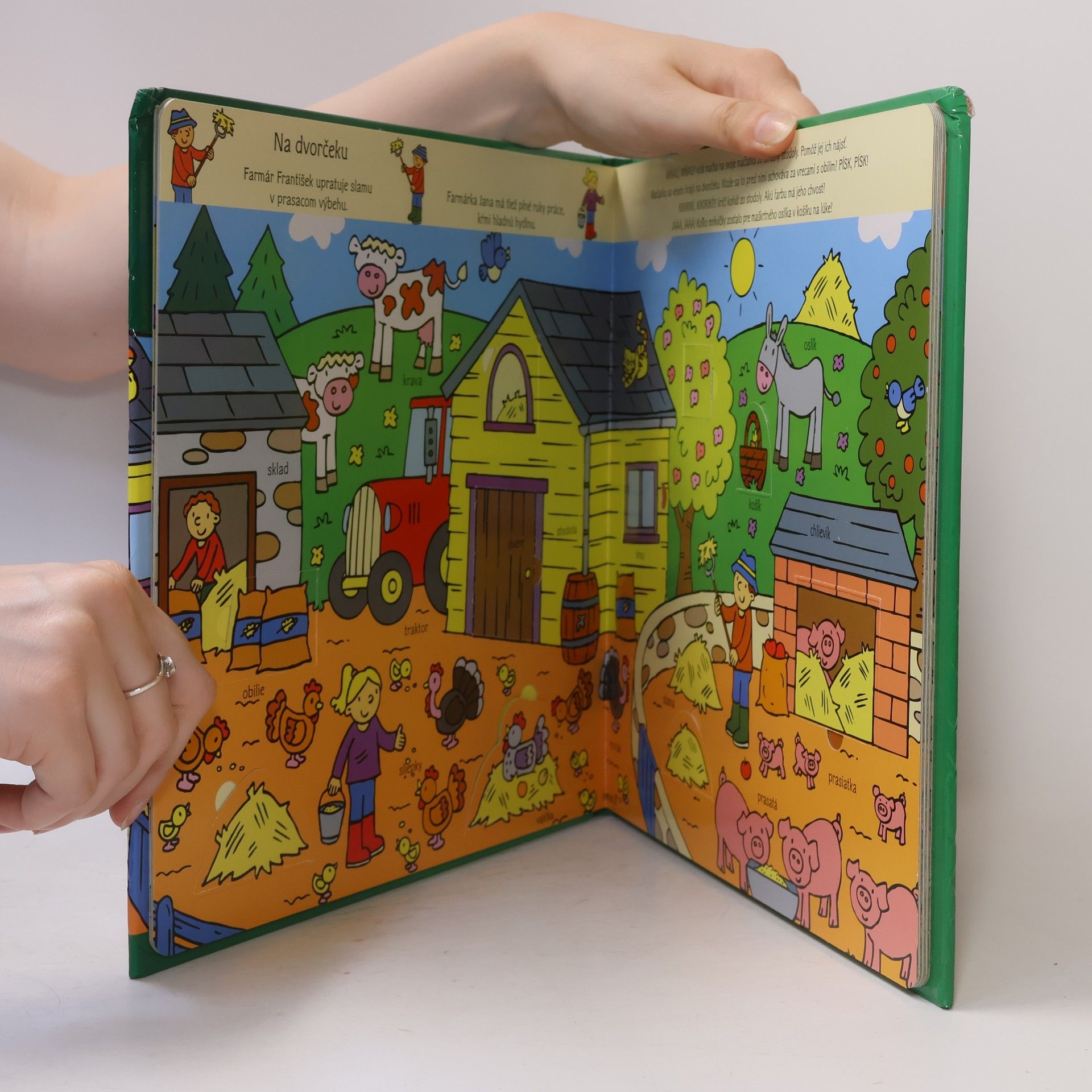 Autorenkollektiv Na statku: Pozri sa pod okienko