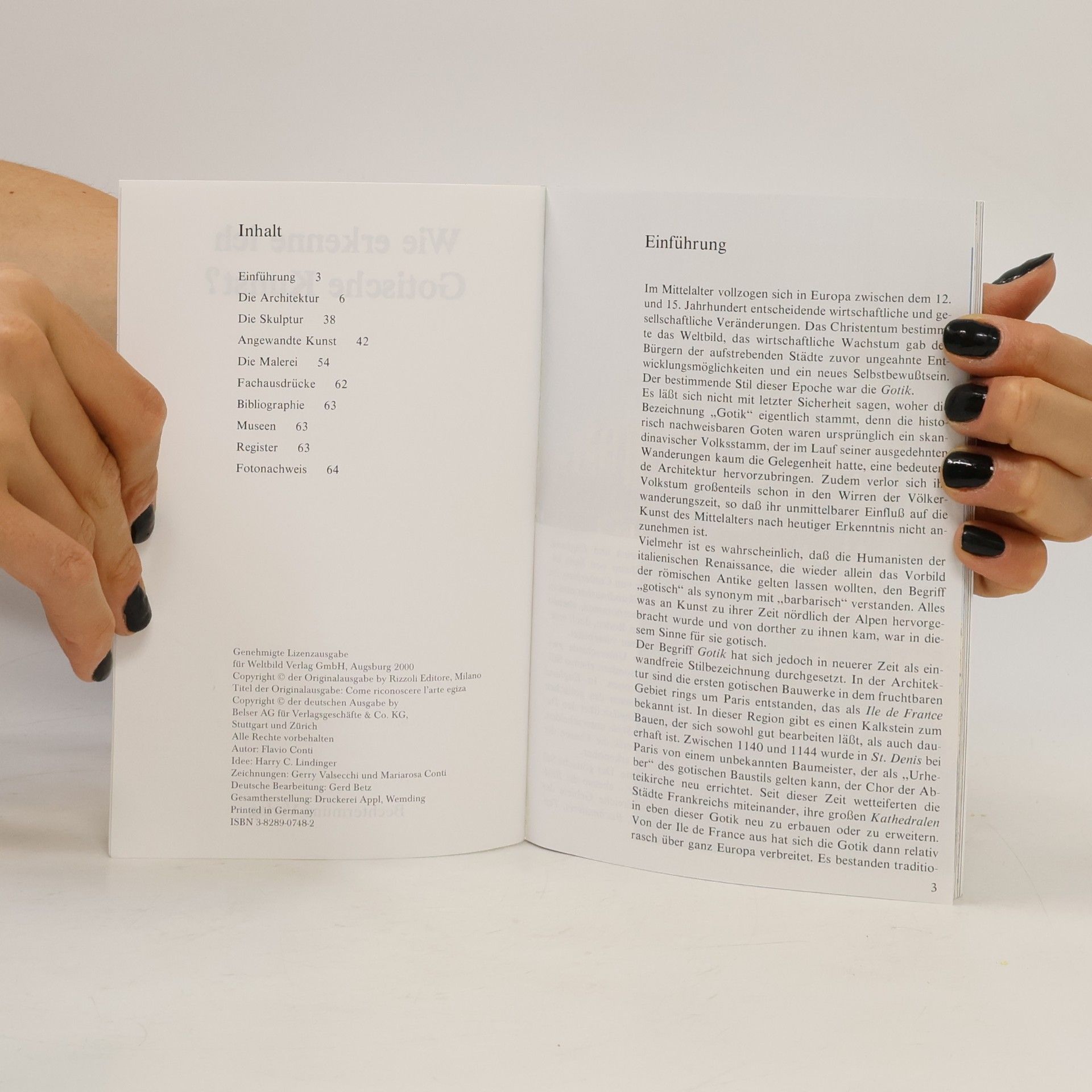 Autores varios Wie erkenne ich Gotische Kunst?