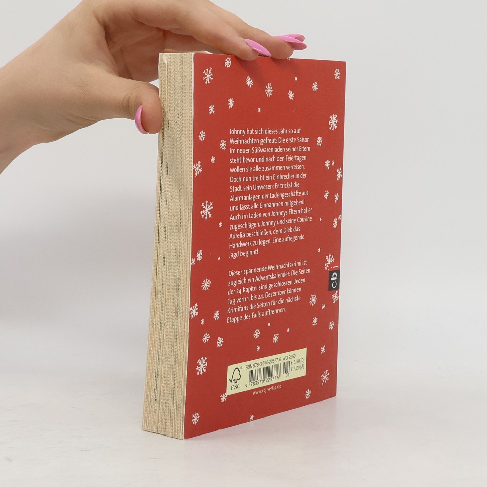 Carola Wimmer Diebischer Advent