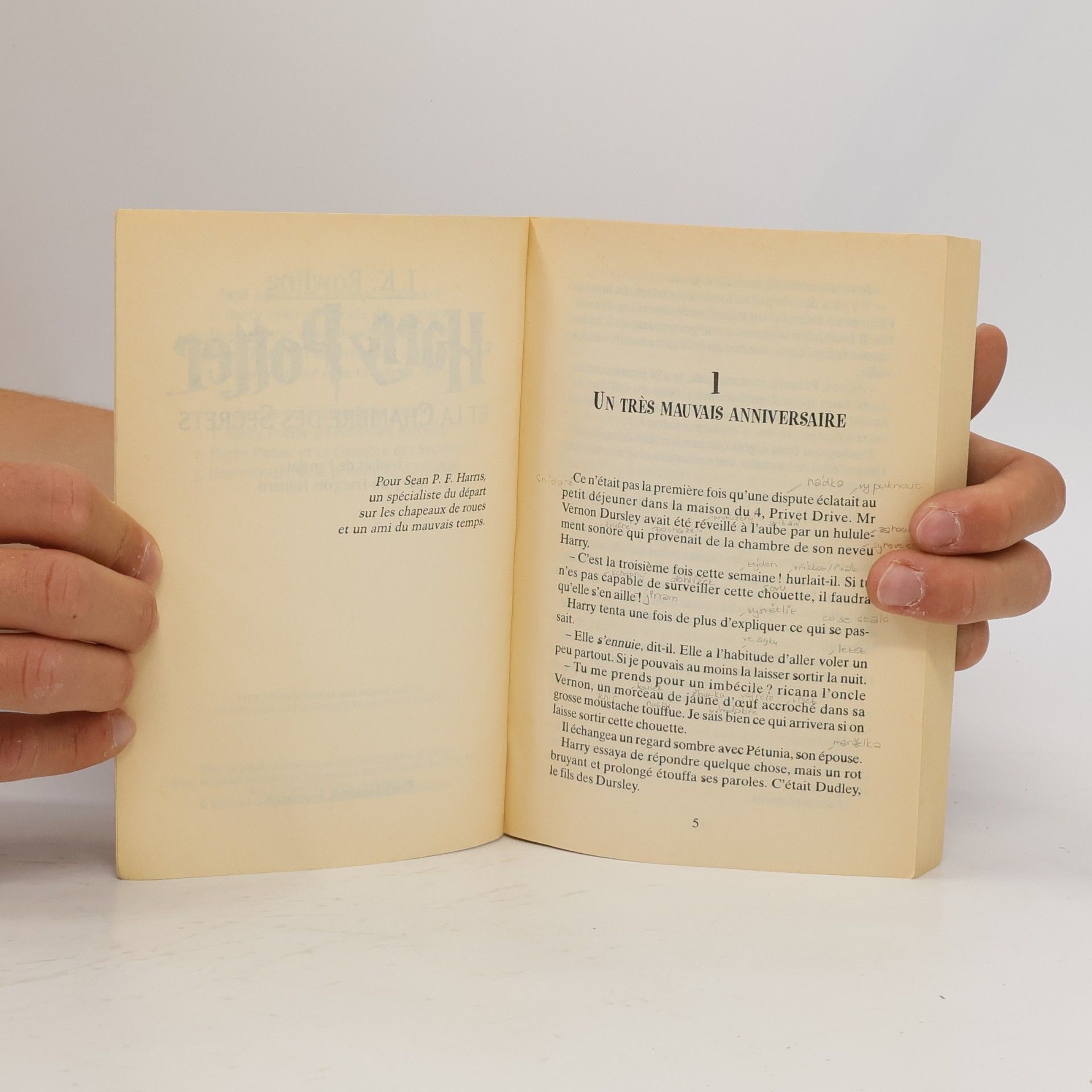 J. K. Rowling Harry Potter et la Chambre des Secrets