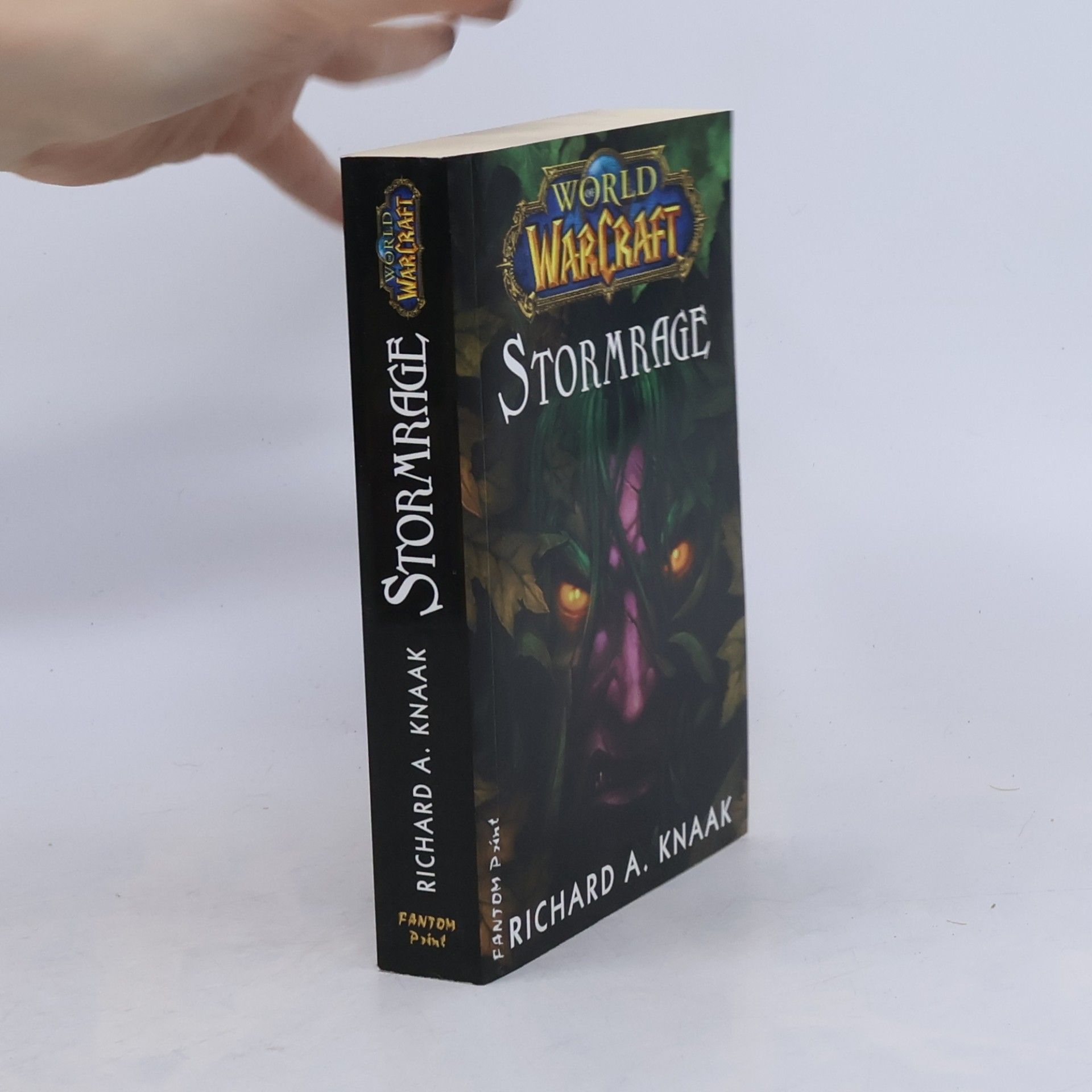 Richard A. Knaak World WarCraft. Stormrage