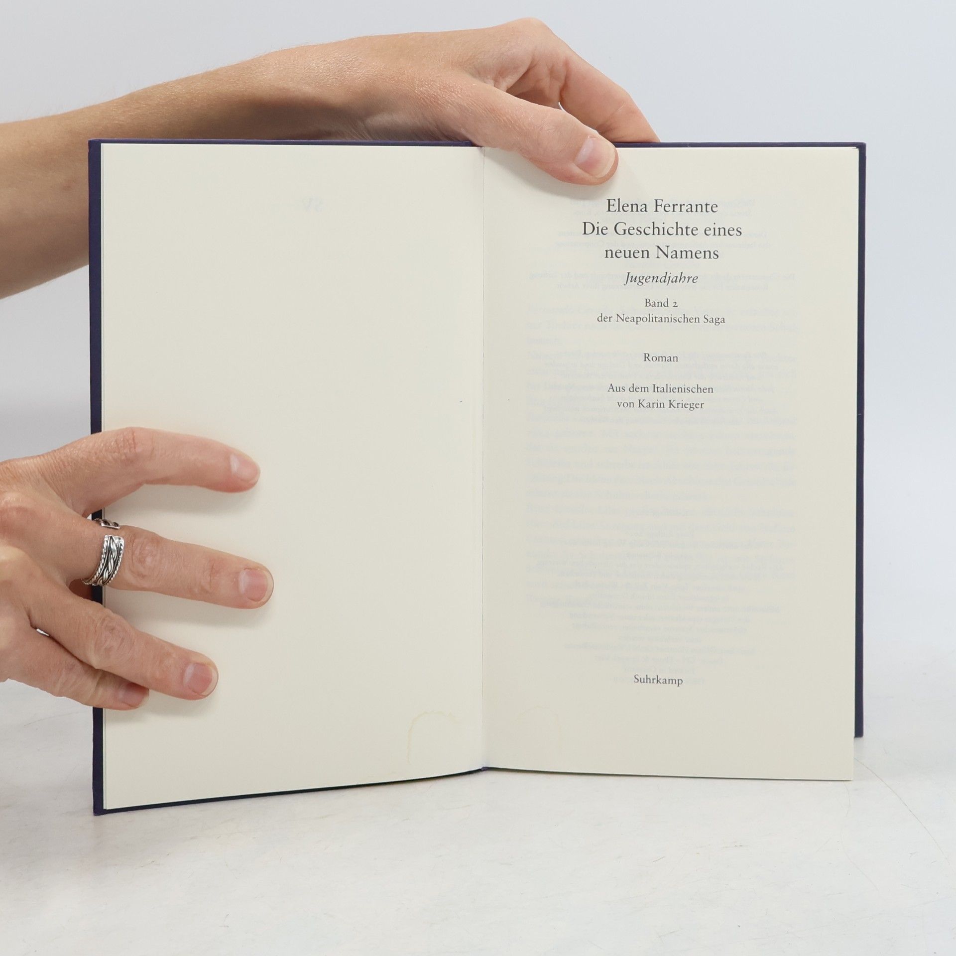 Elena Ferrante Die Geschichte eines neuen Namens: Jugendjahre. Band 2