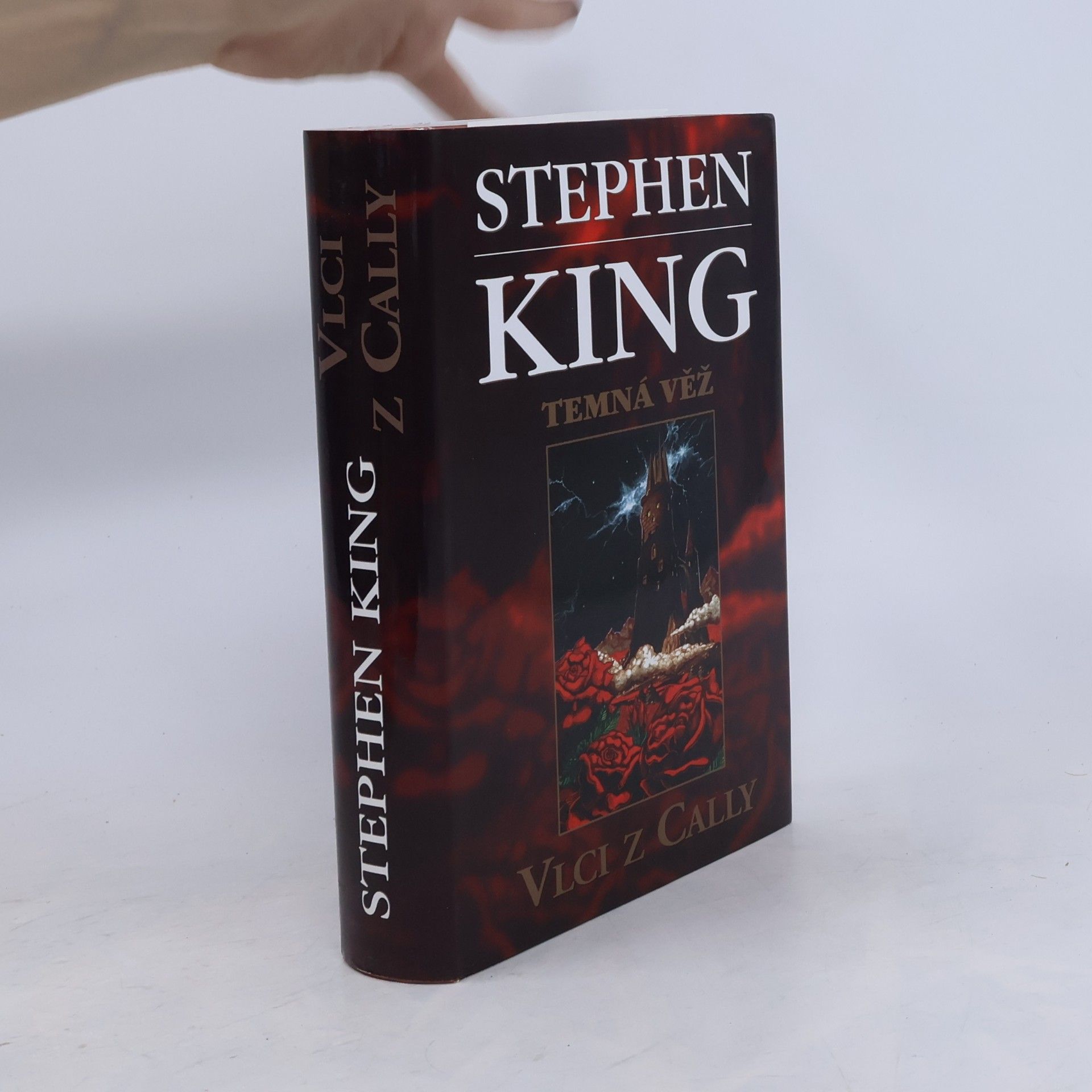Stephen King Temná věž: Vlci z Cally