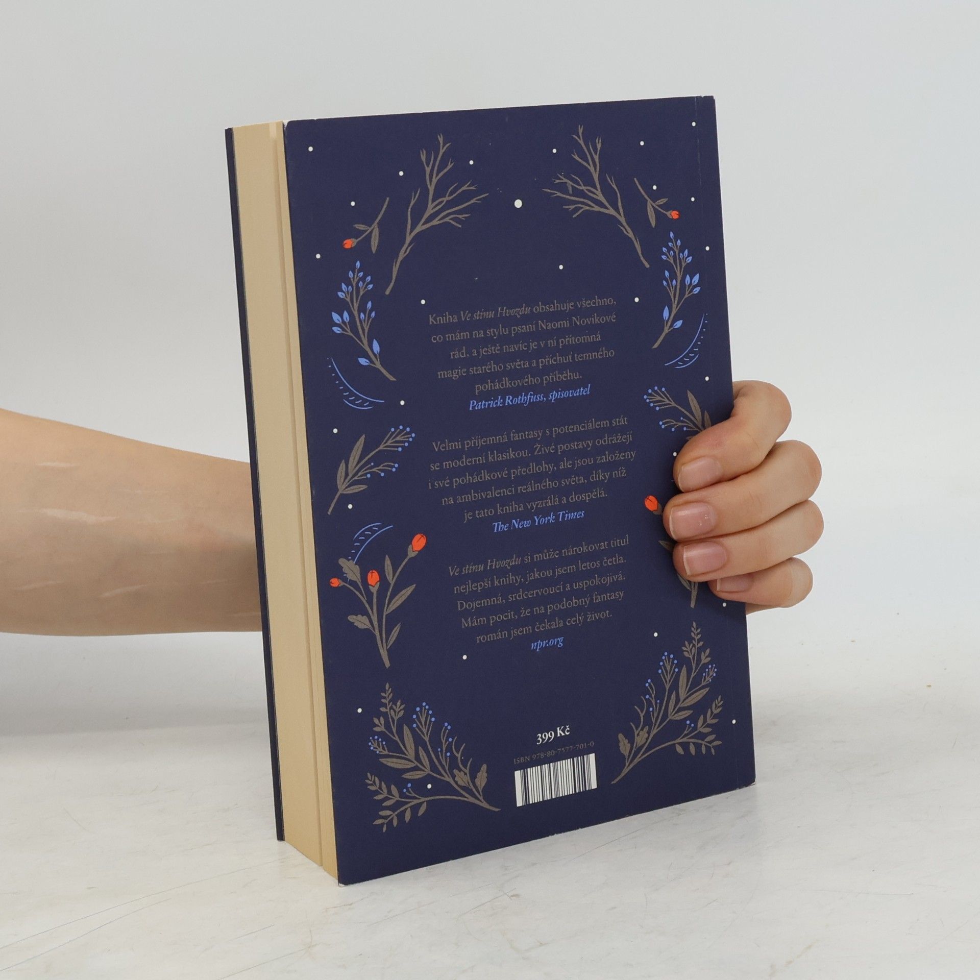 Naomi Novik Ve stínu Hvozdu
