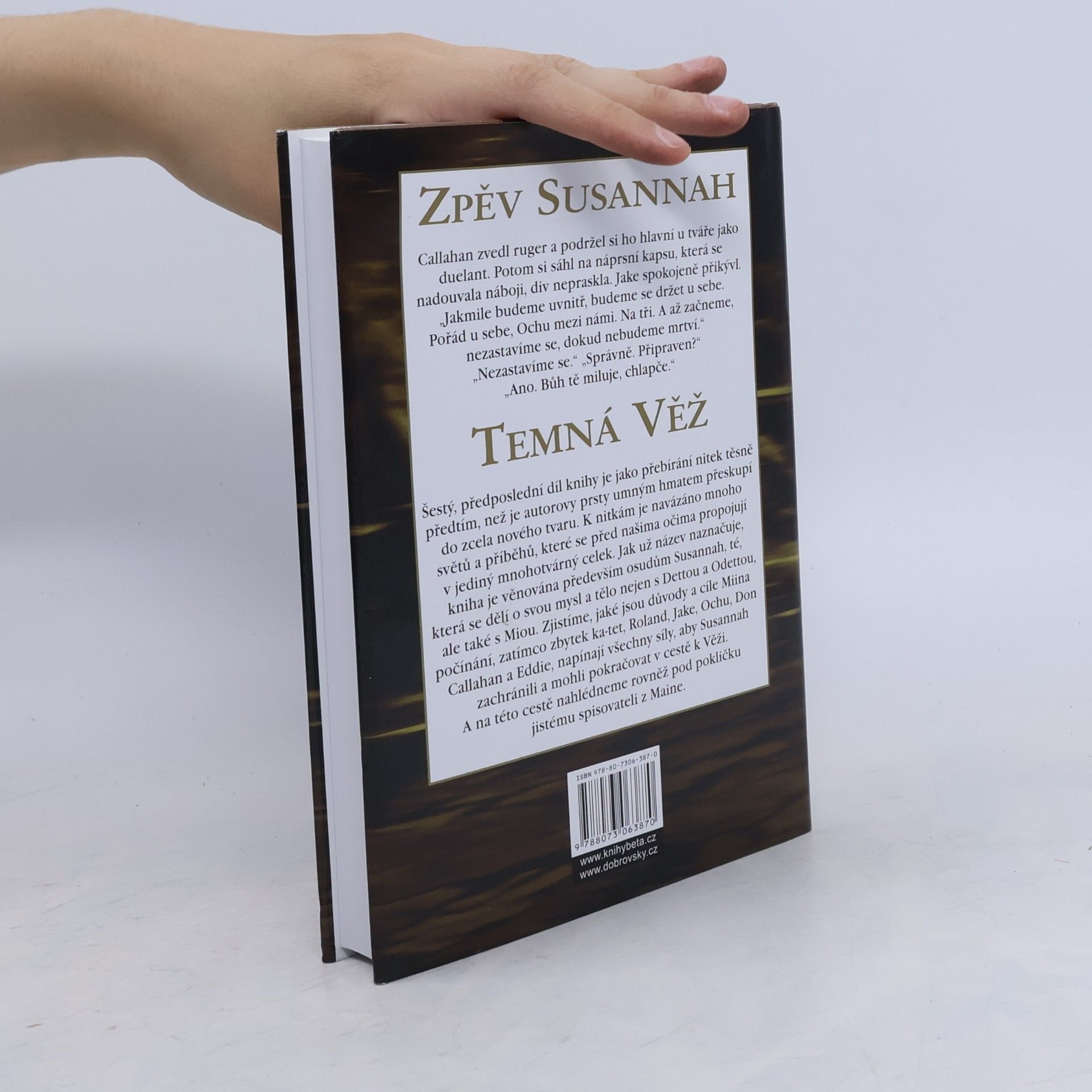 Stephen King Temná věž: Zpěv Susannah