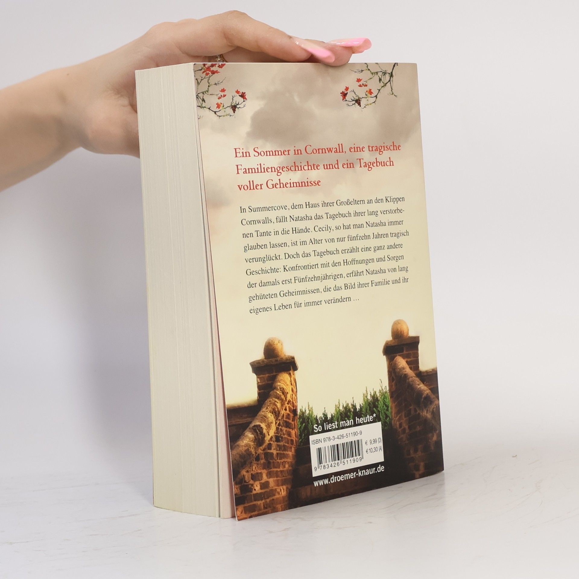 Harriet Evans Das Buch der verborgenen Wünsche