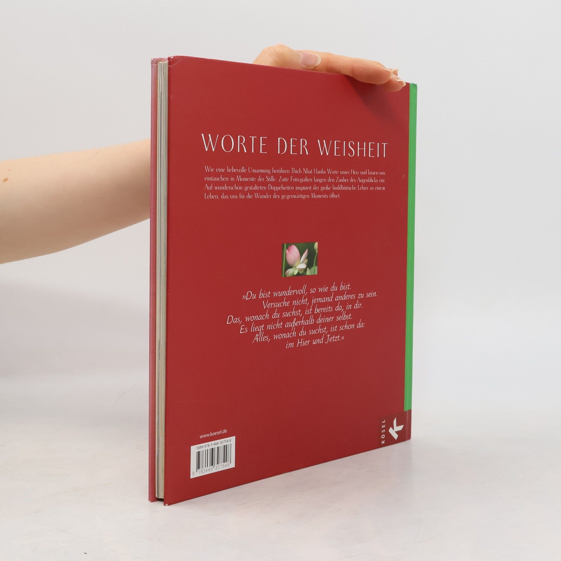 Thích Nhất Hạnh Sei liebevoll umarmt