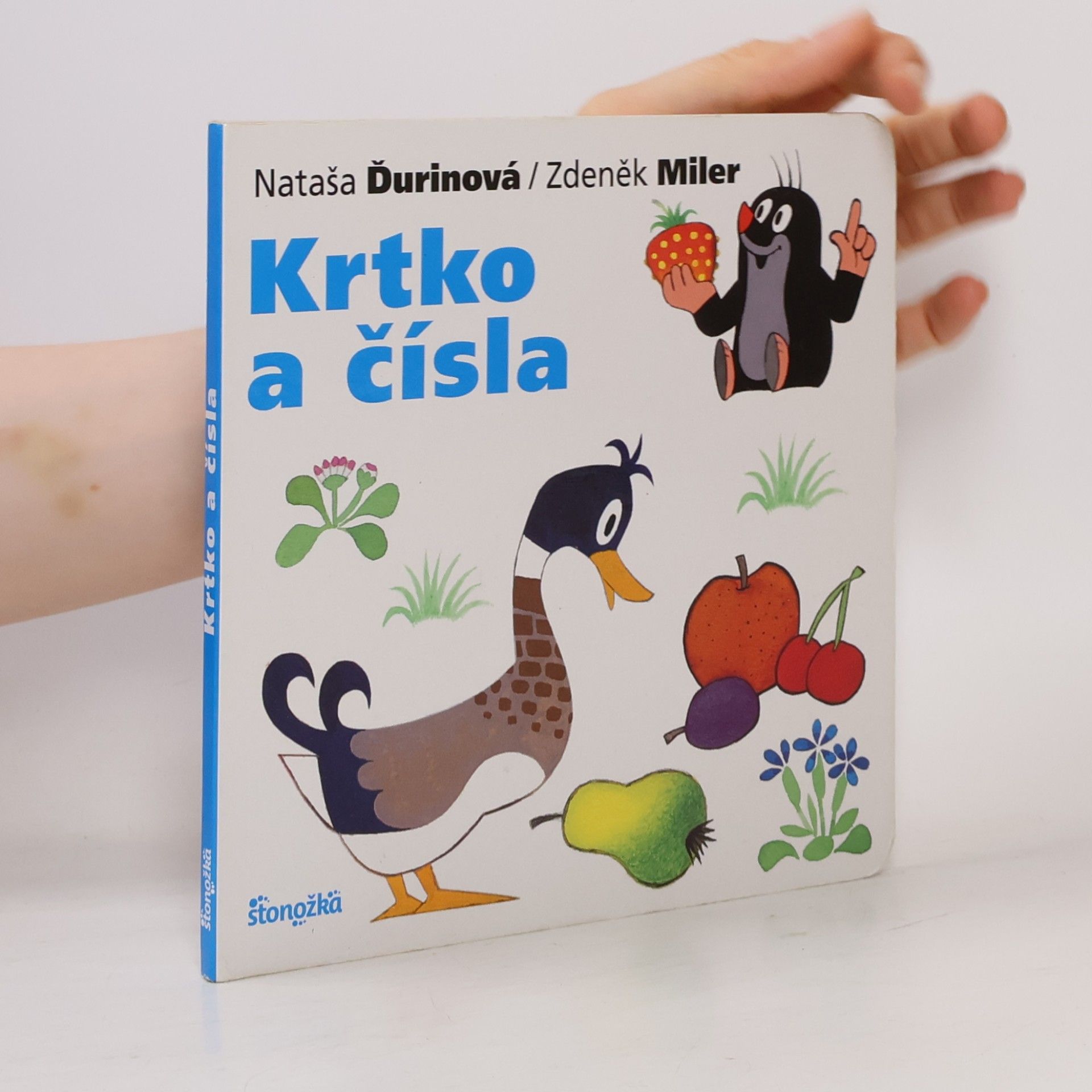 Krtko a čísla