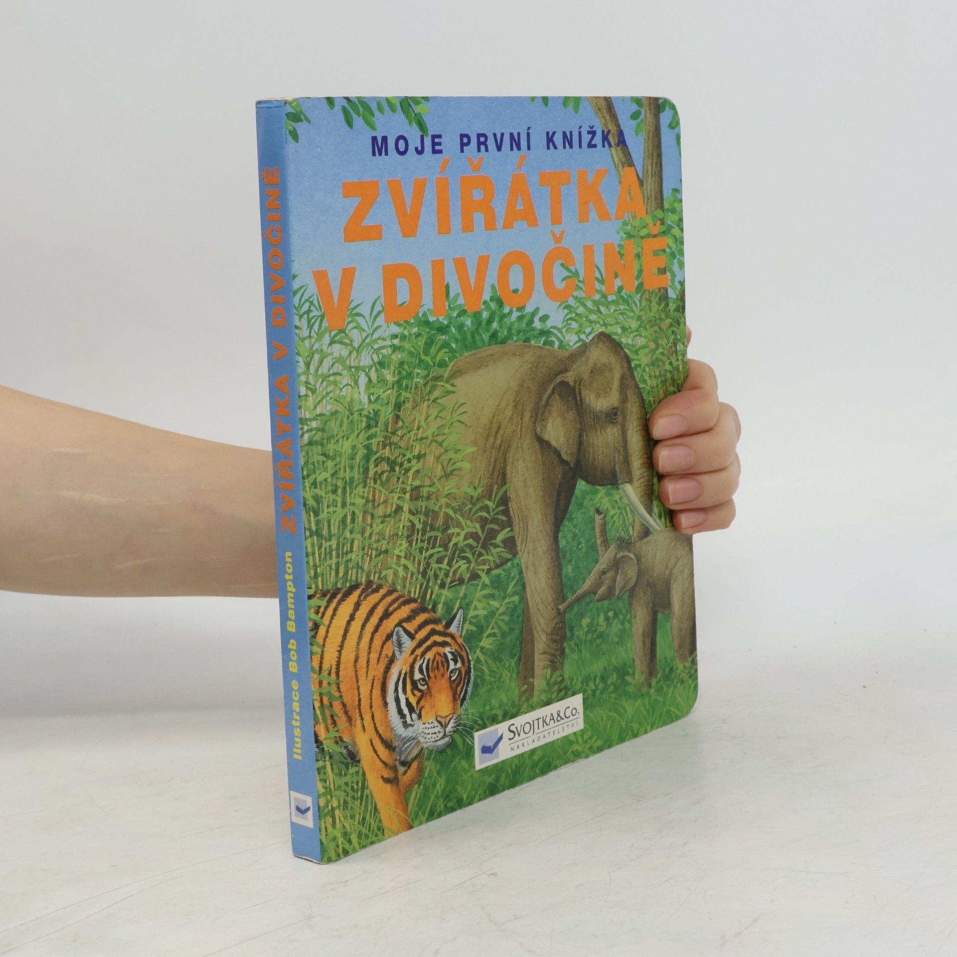 Collectif d'auteurs Zvířátka v divočině
