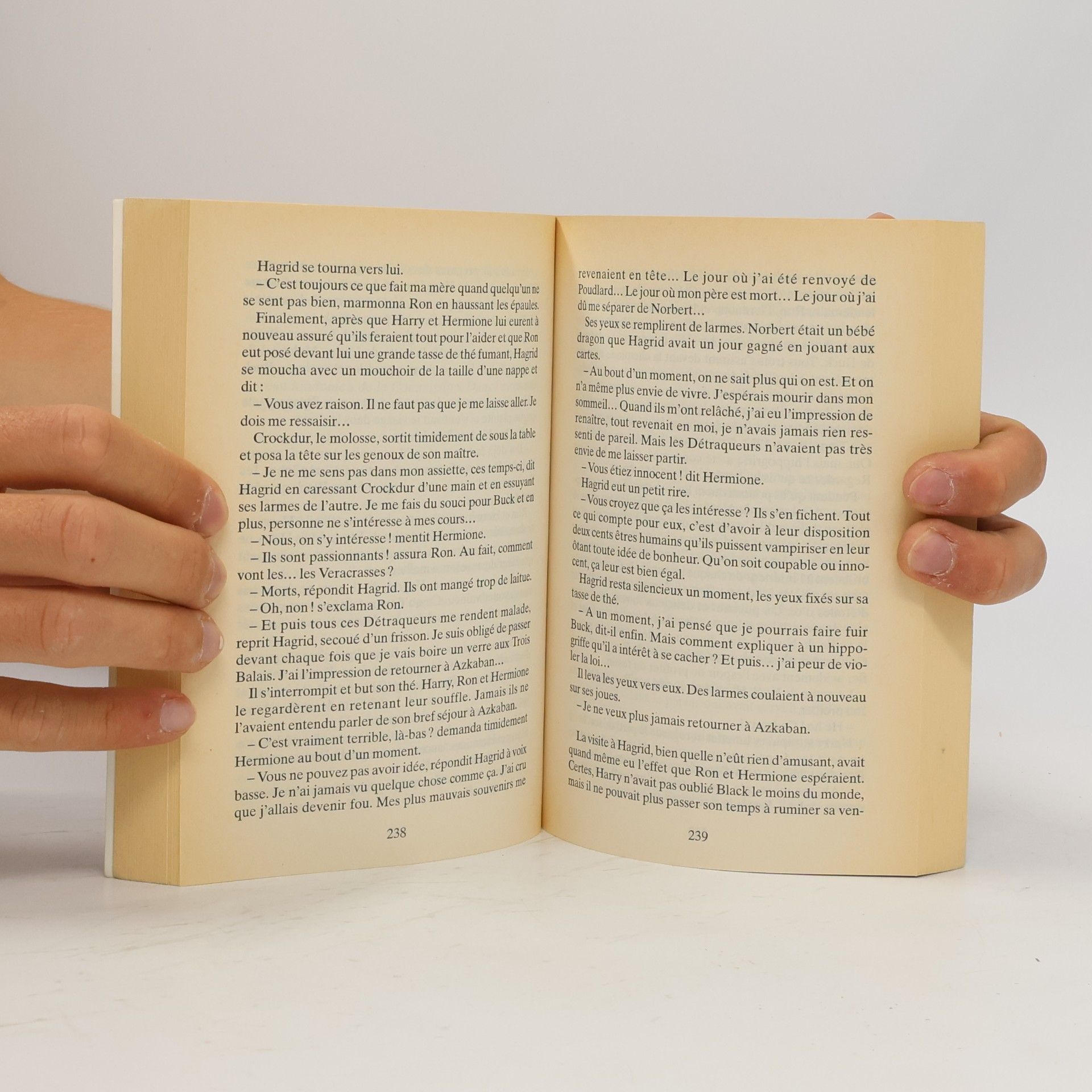 J. K. Rowling Harry Potter et le prisonnier d'Azkaban
