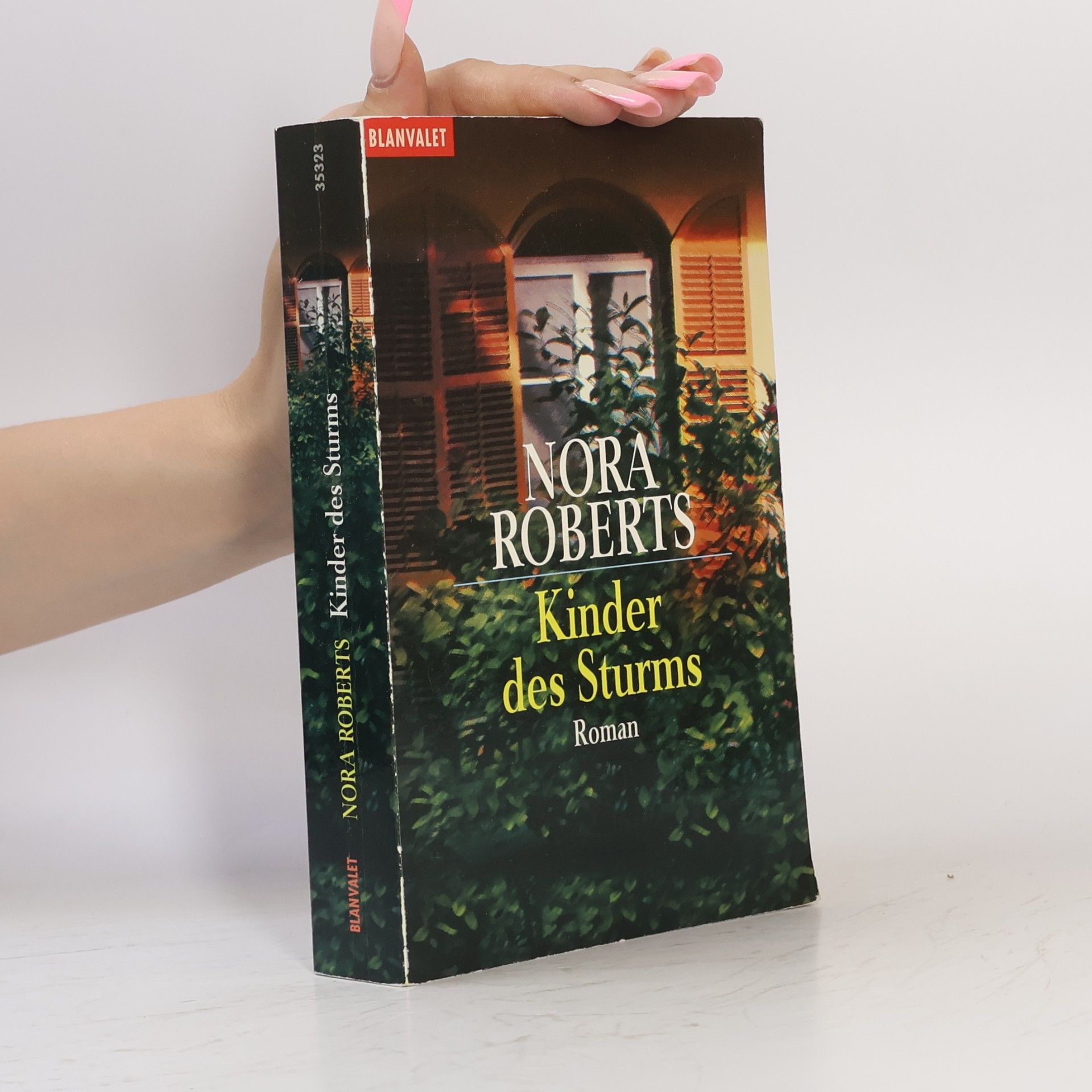 Nora Roberts Kinder des Sturms